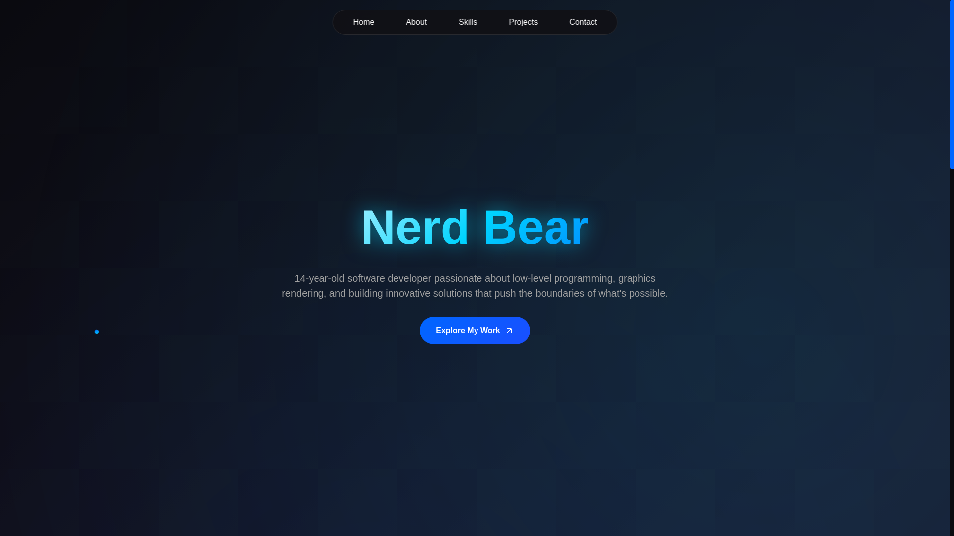 website screenshot of https://nerd-bear.org/