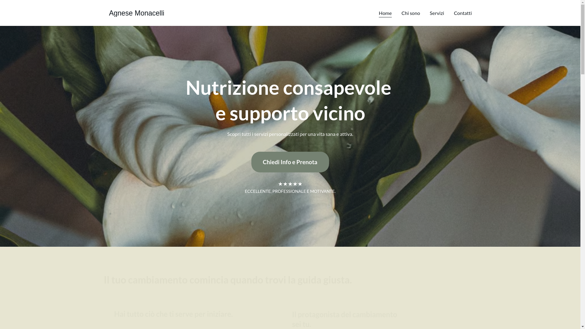 website screenshot of https://agnesemonacelli.it/