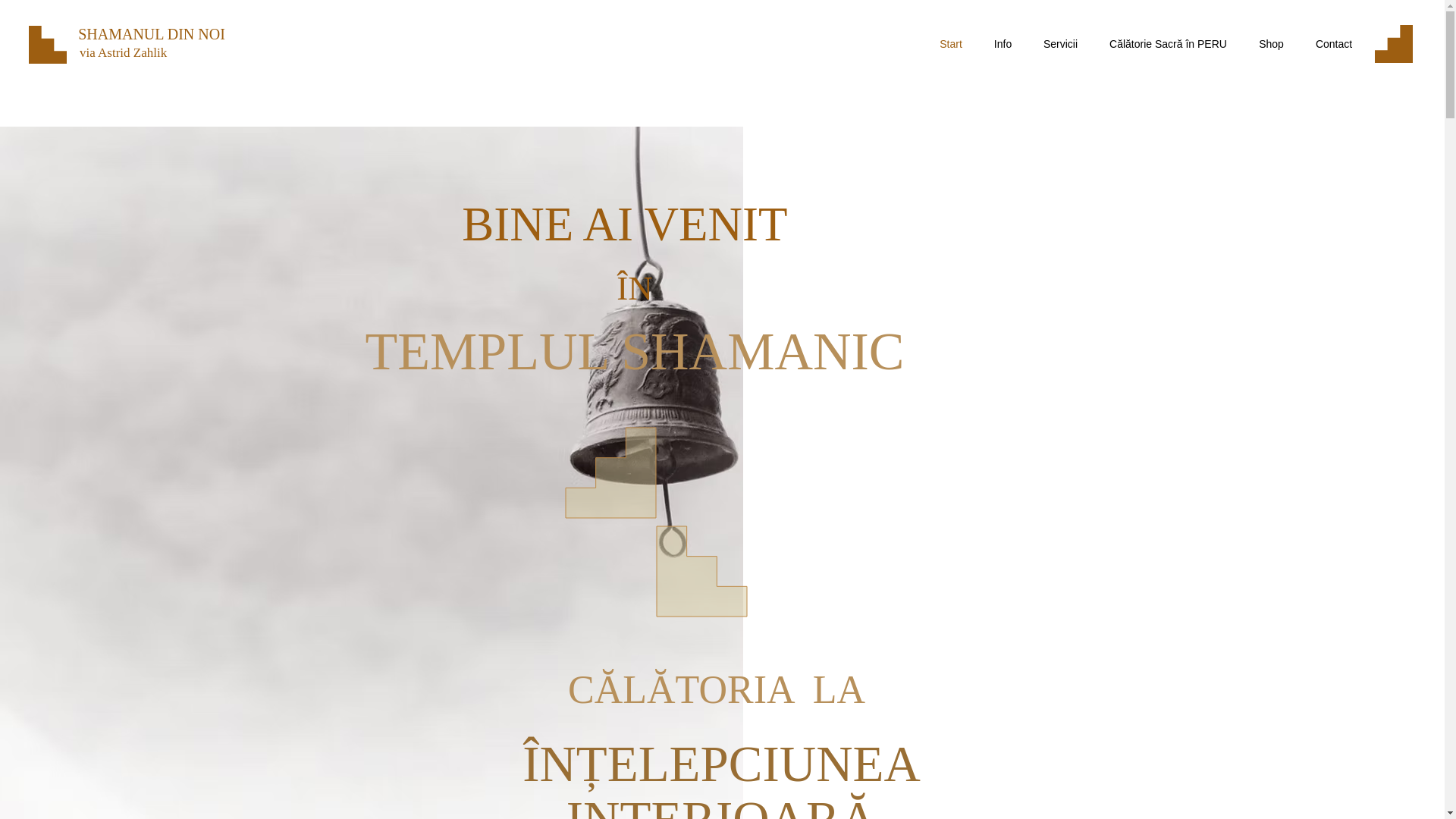website screenshot of https://astridzahlik.com/