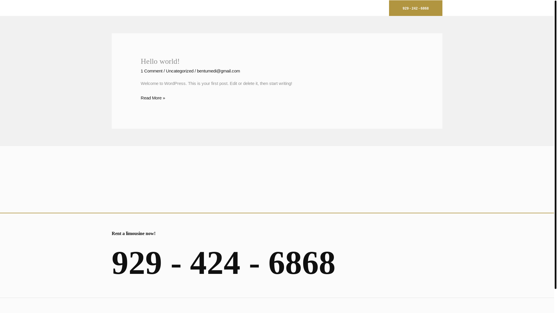 website screenshot of https://queenlimoservice.com/