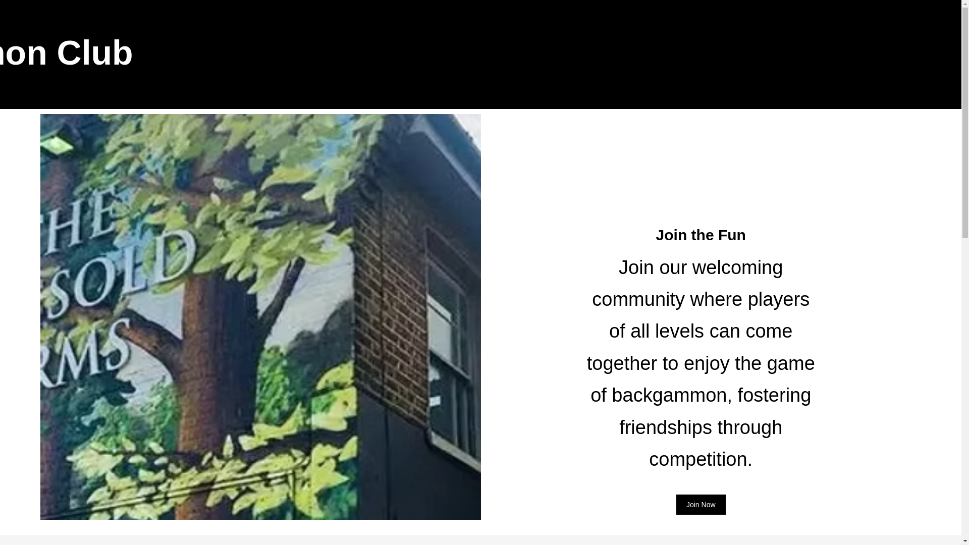 website screenshot of https://eastfinchleybg.co.uk/