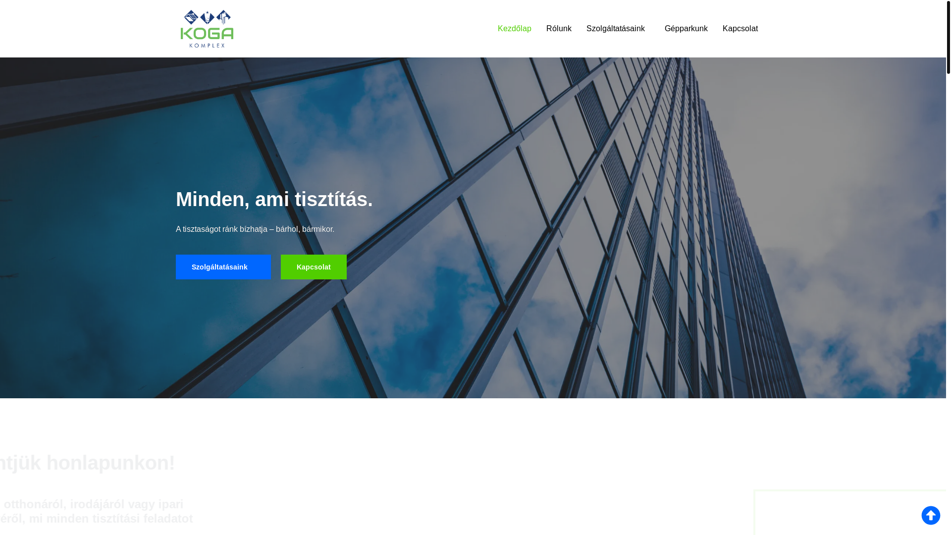 website screenshot of https://pvpanelwaesche.de/