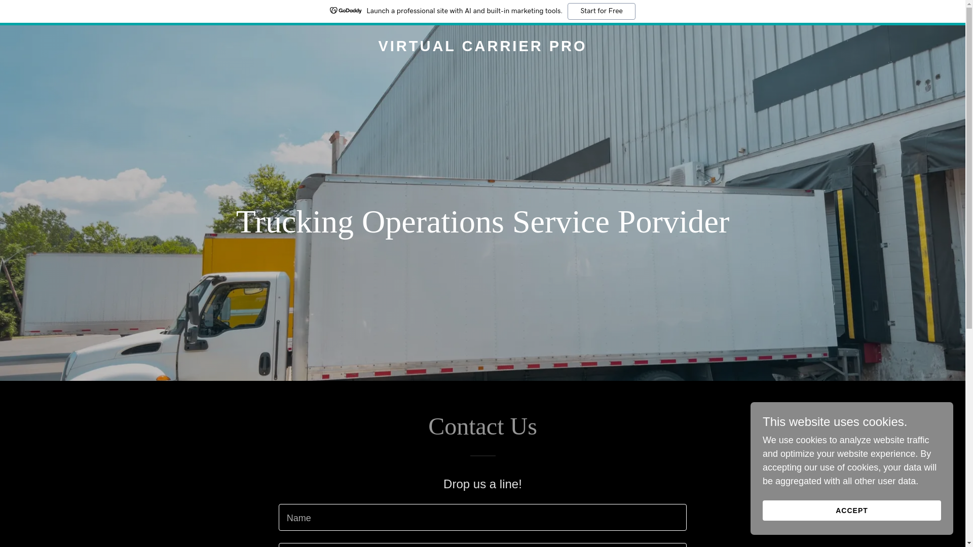 website screenshot of https://virtualcarrierpro.com/