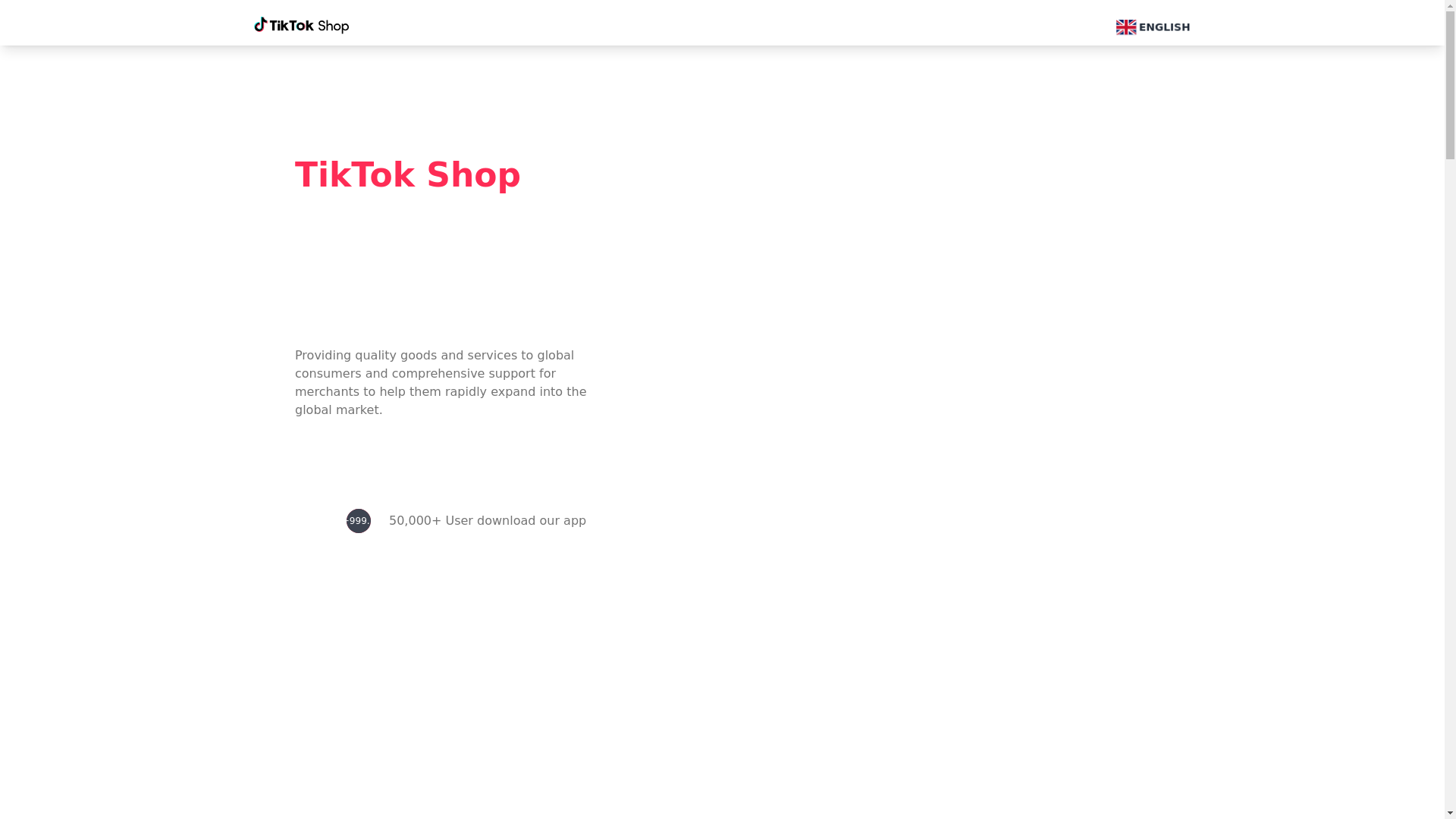 website screenshot of https://tk-maks.cc/