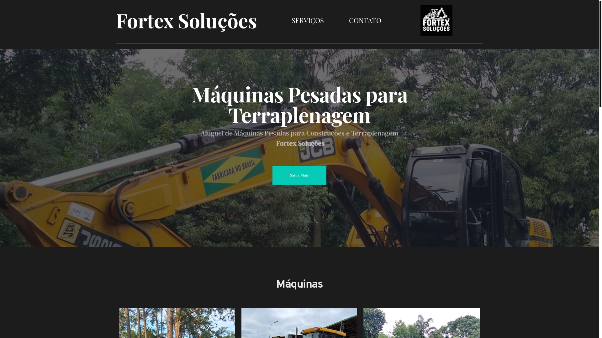 website screenshot of https://fortexsolucoes.com/