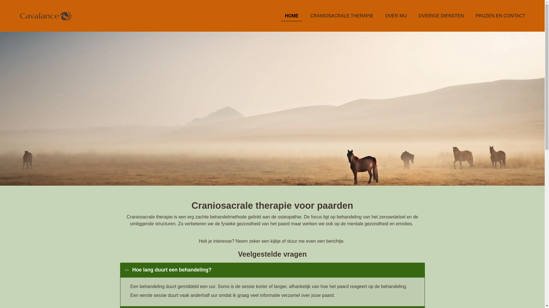 website screenshot of https://cavalance.be/