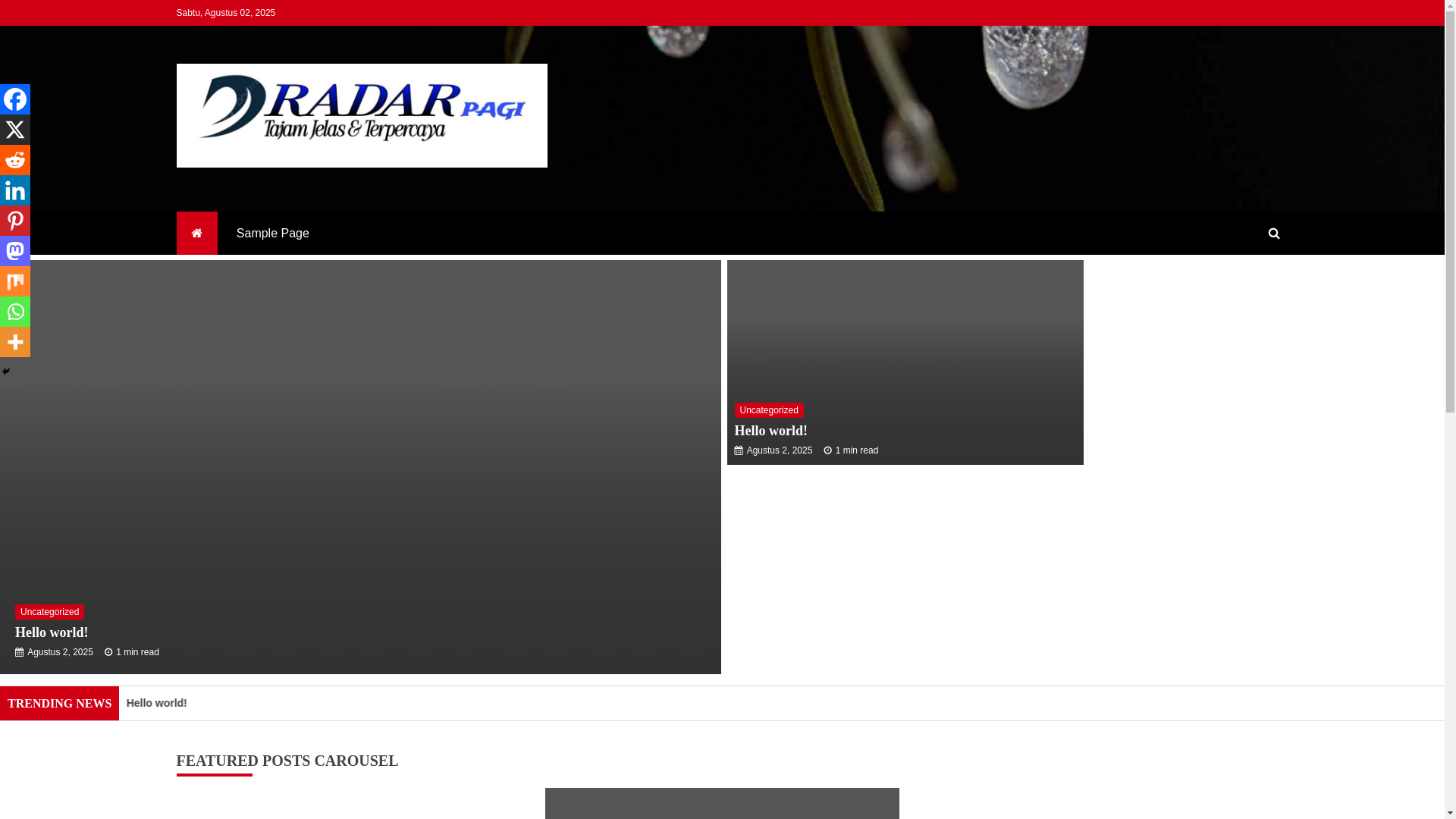 website screenshot of https://radarpagi.id/
