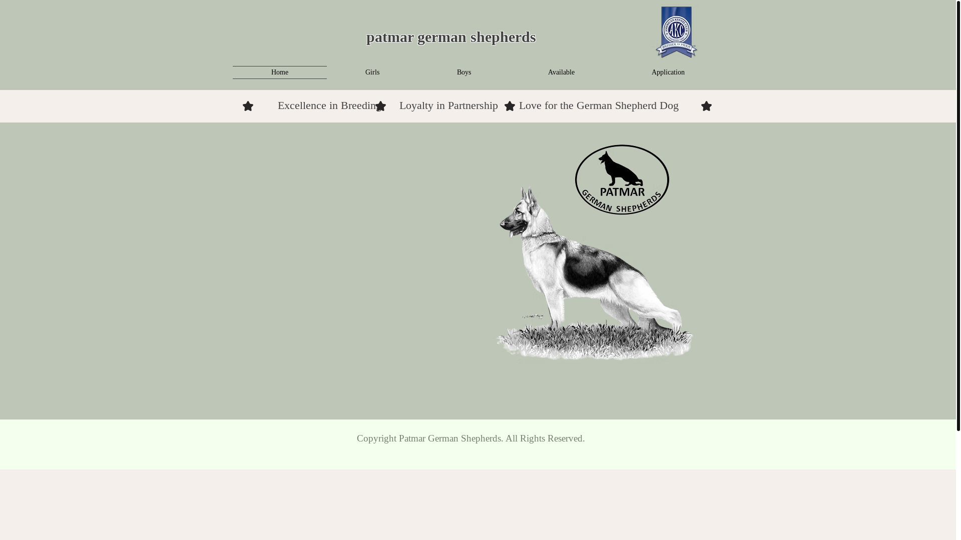 website screenshot of https://patmargsd.com/