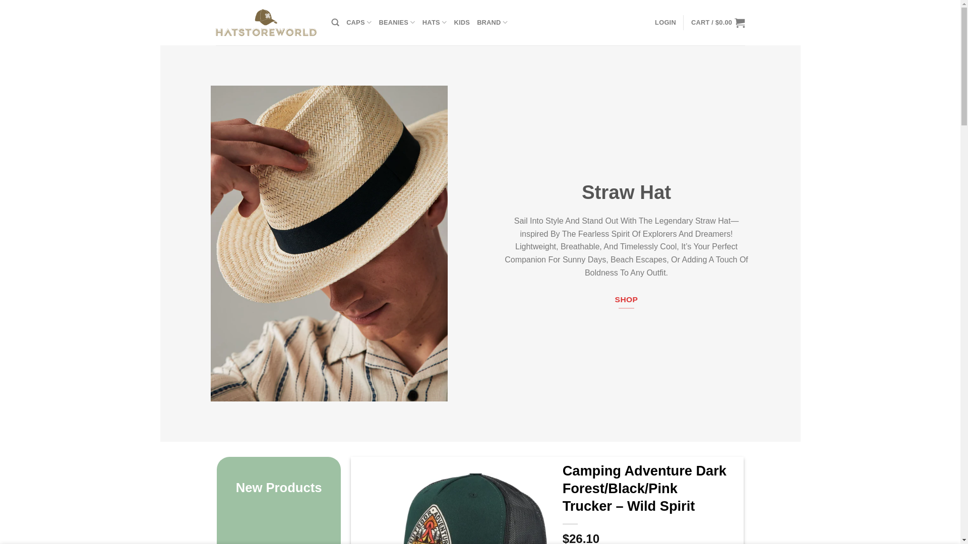 website screenshot of https://hatsworldstore.com/