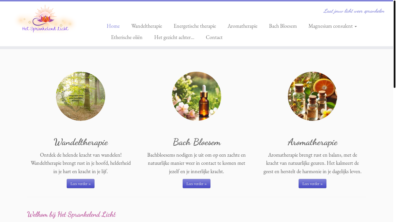 website screenshot of https://heal-model.nl/