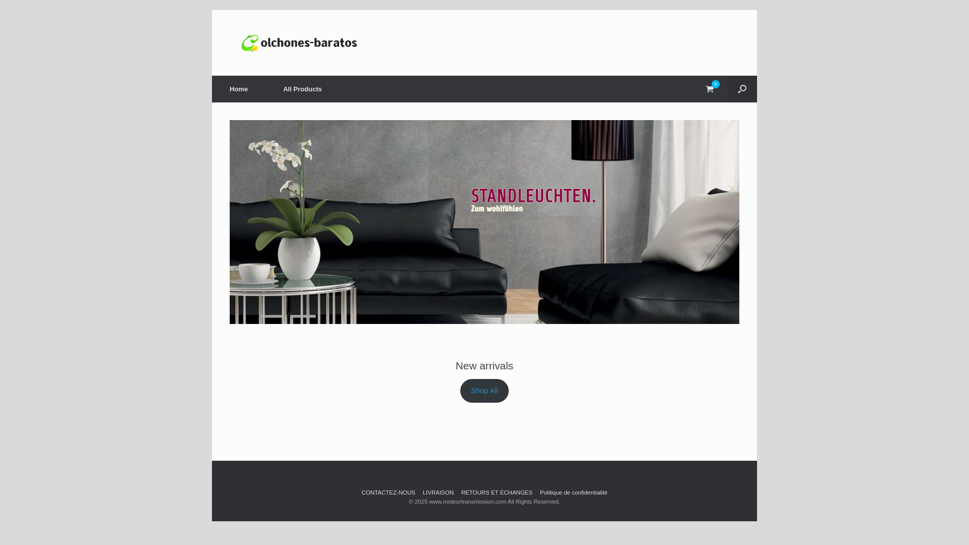 website screenshot of https://moteurtransmission.com/
