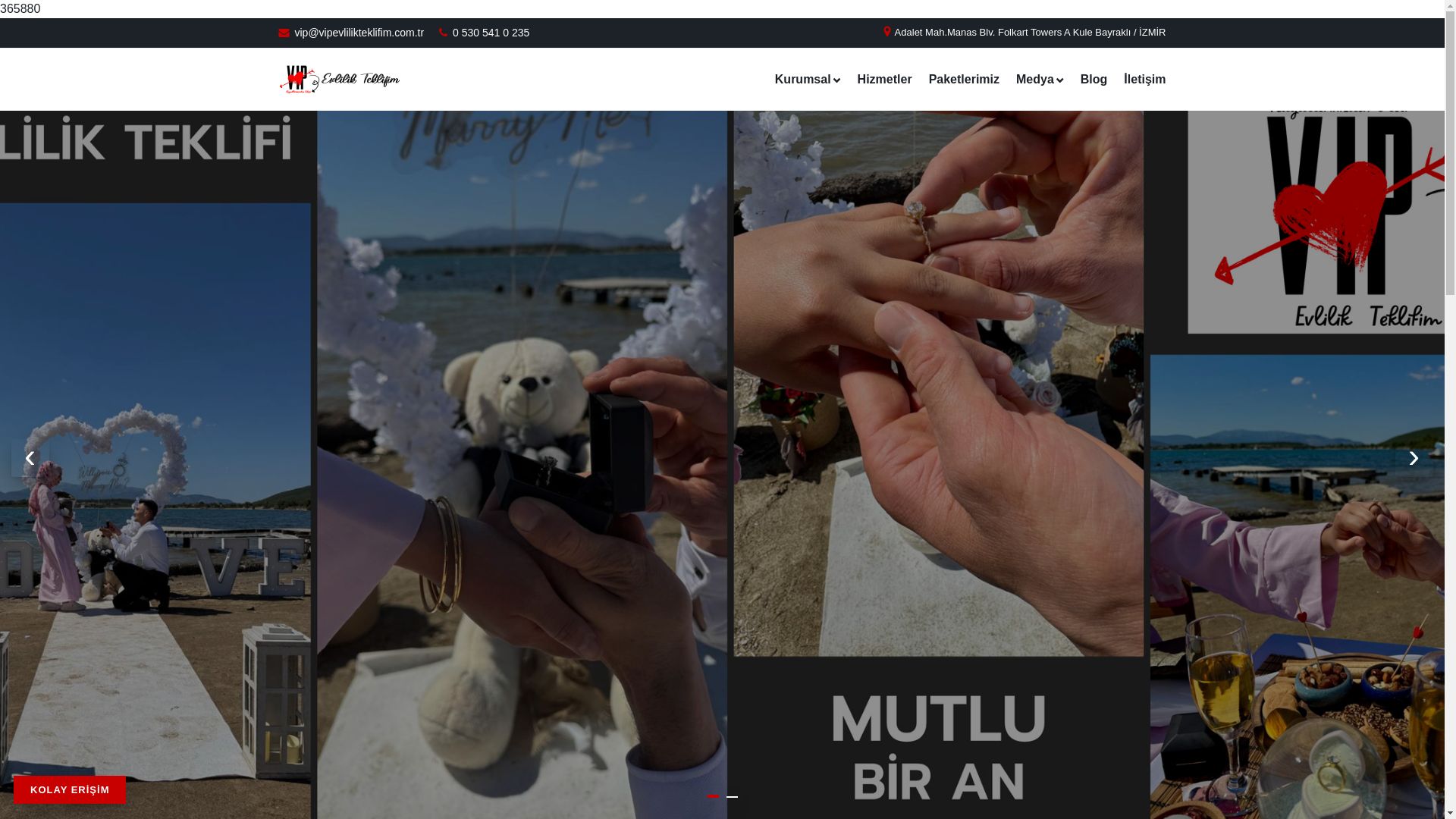 website screenshot of https://vipevlilikteklifim.com.tr