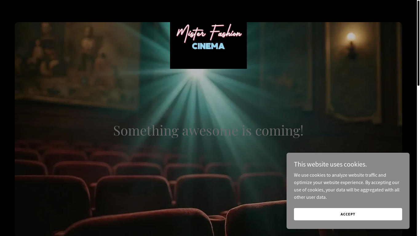 website screenshot of https://misterfashioncinema.com/