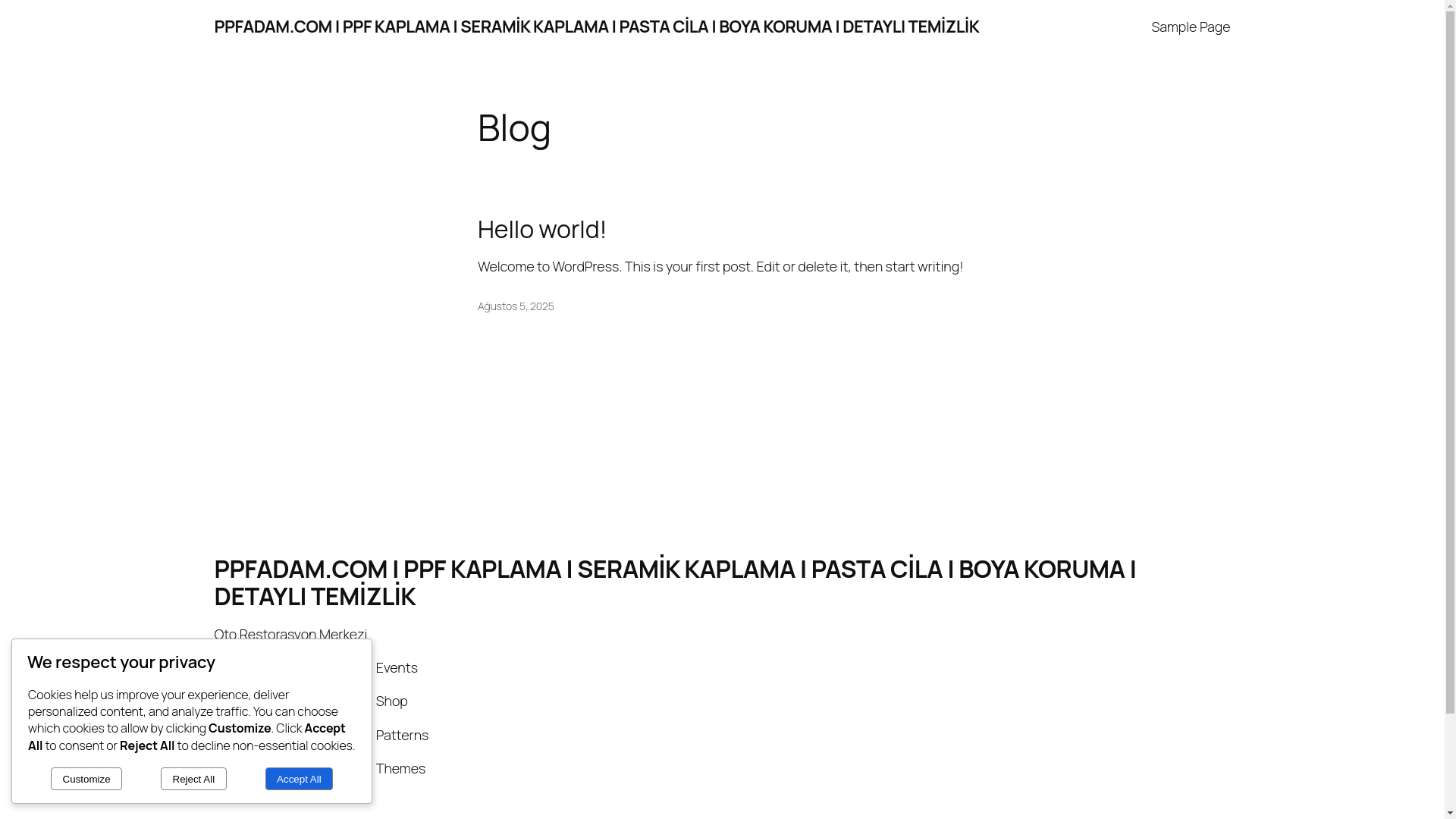 website screenshot of https://ppfadam.com/