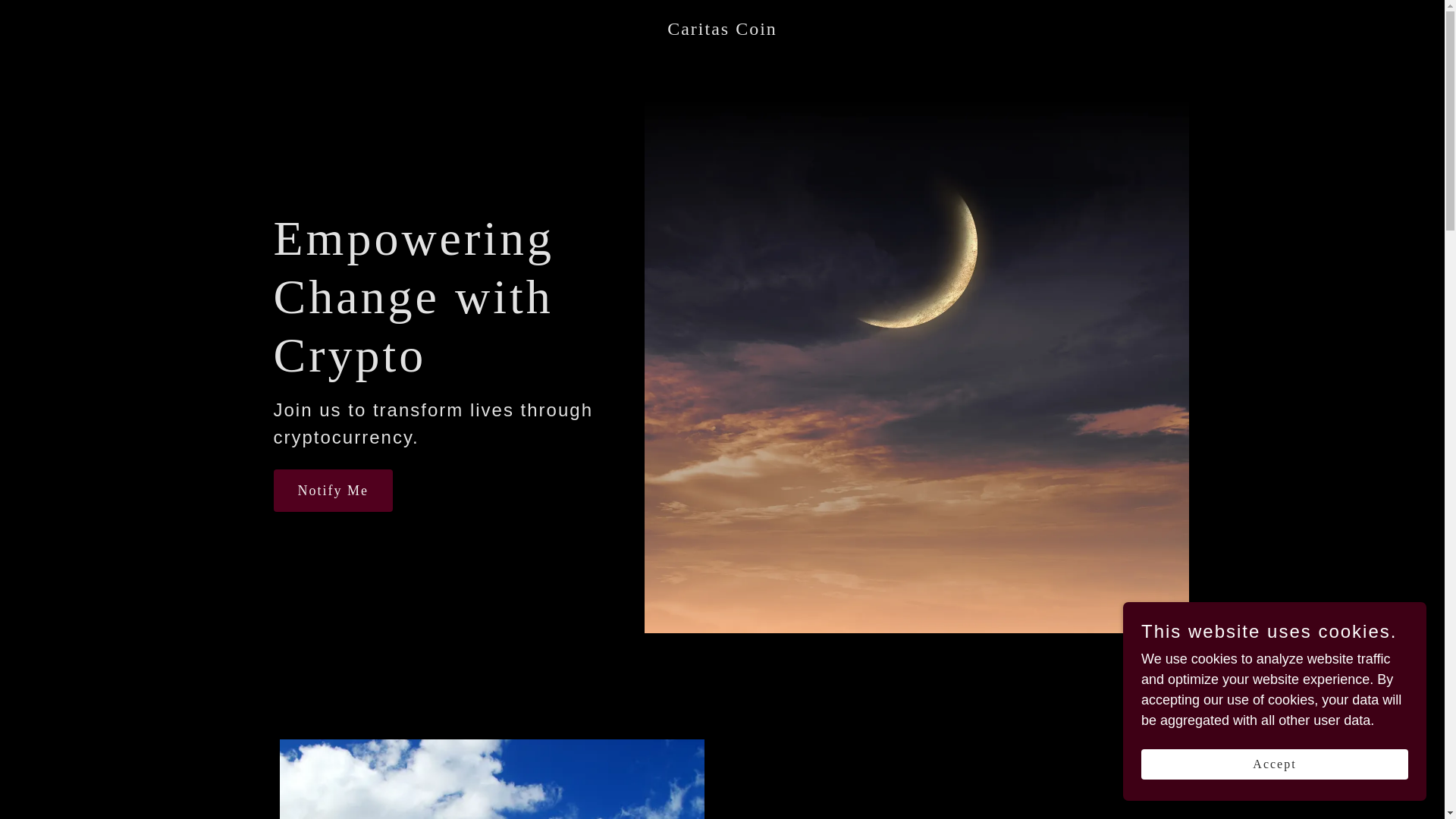 website screenshot of https://caritascoin.org/