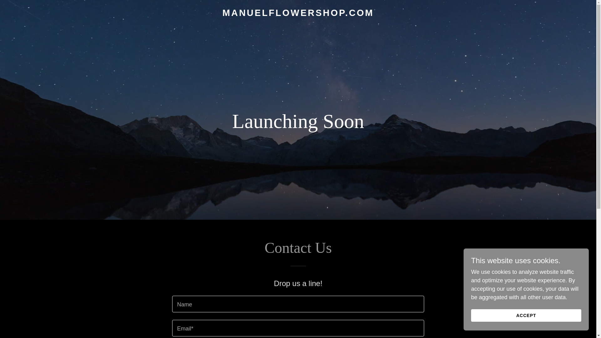 website screenshot of https://manuelflowershop.com/