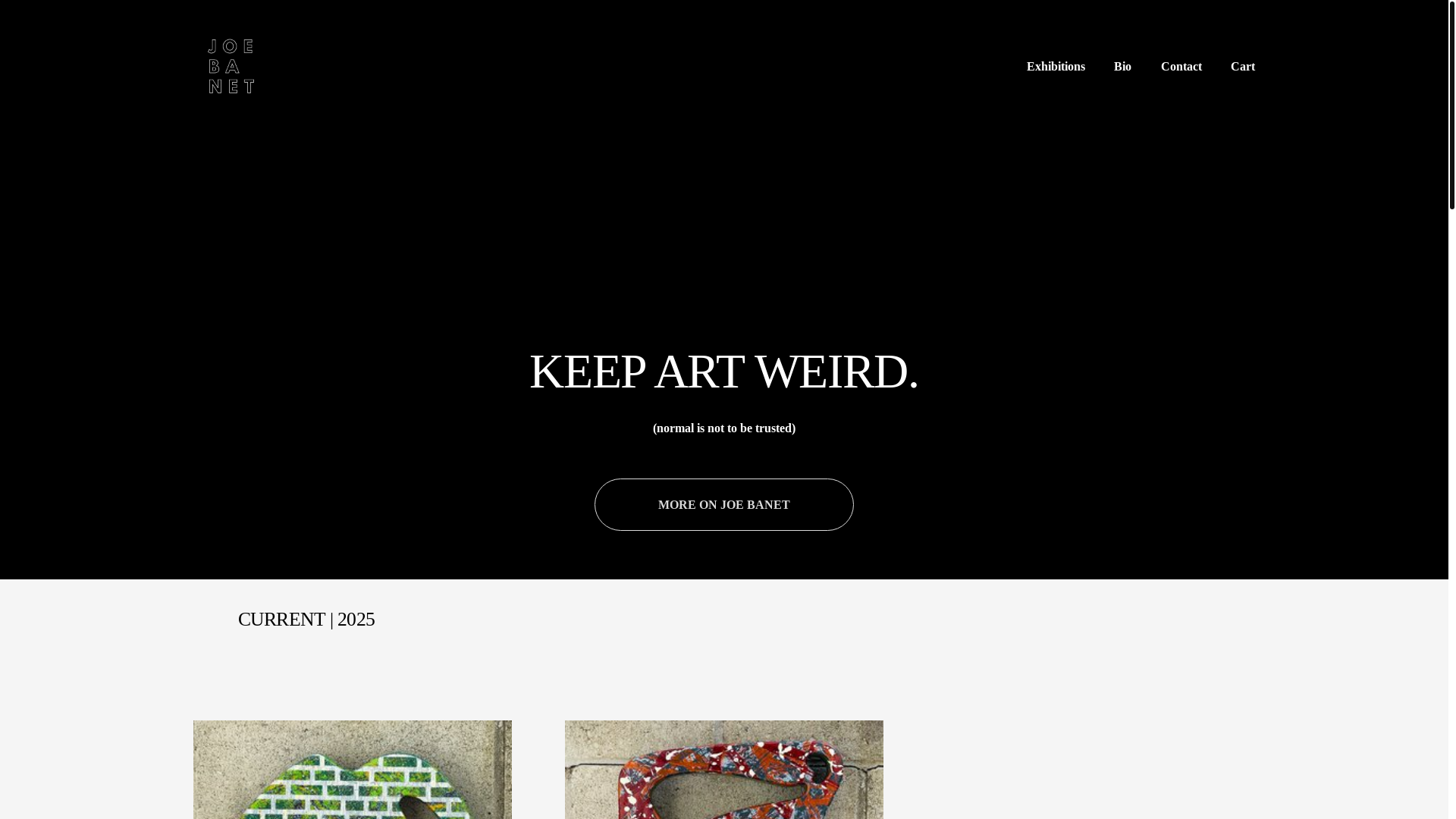 website screenshot of https://averageokart.com/