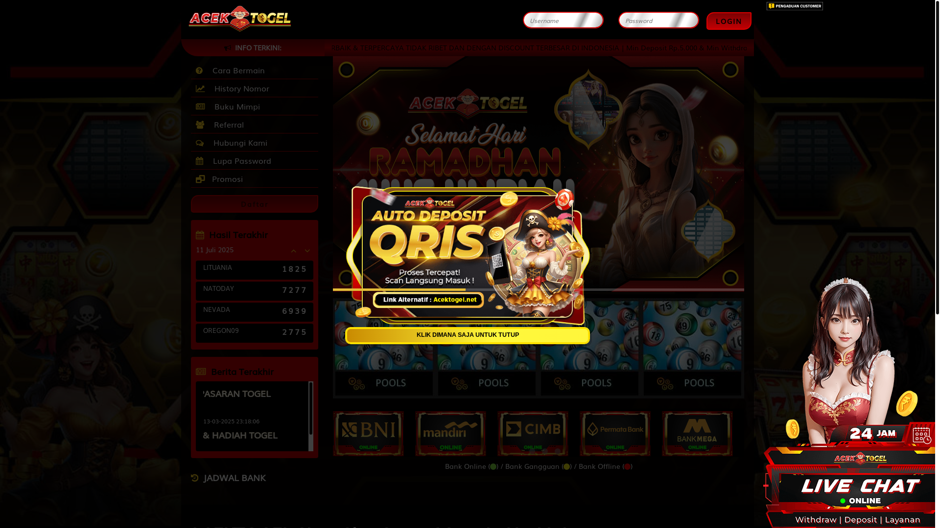 website screenshot of https://acektogel10.com/