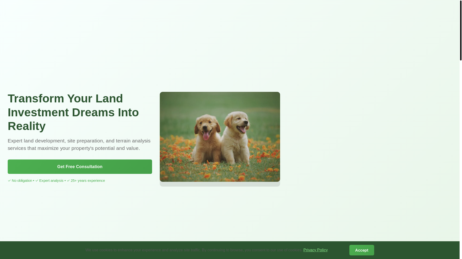 website screenshot of https://trustworthyterrains.xyz/