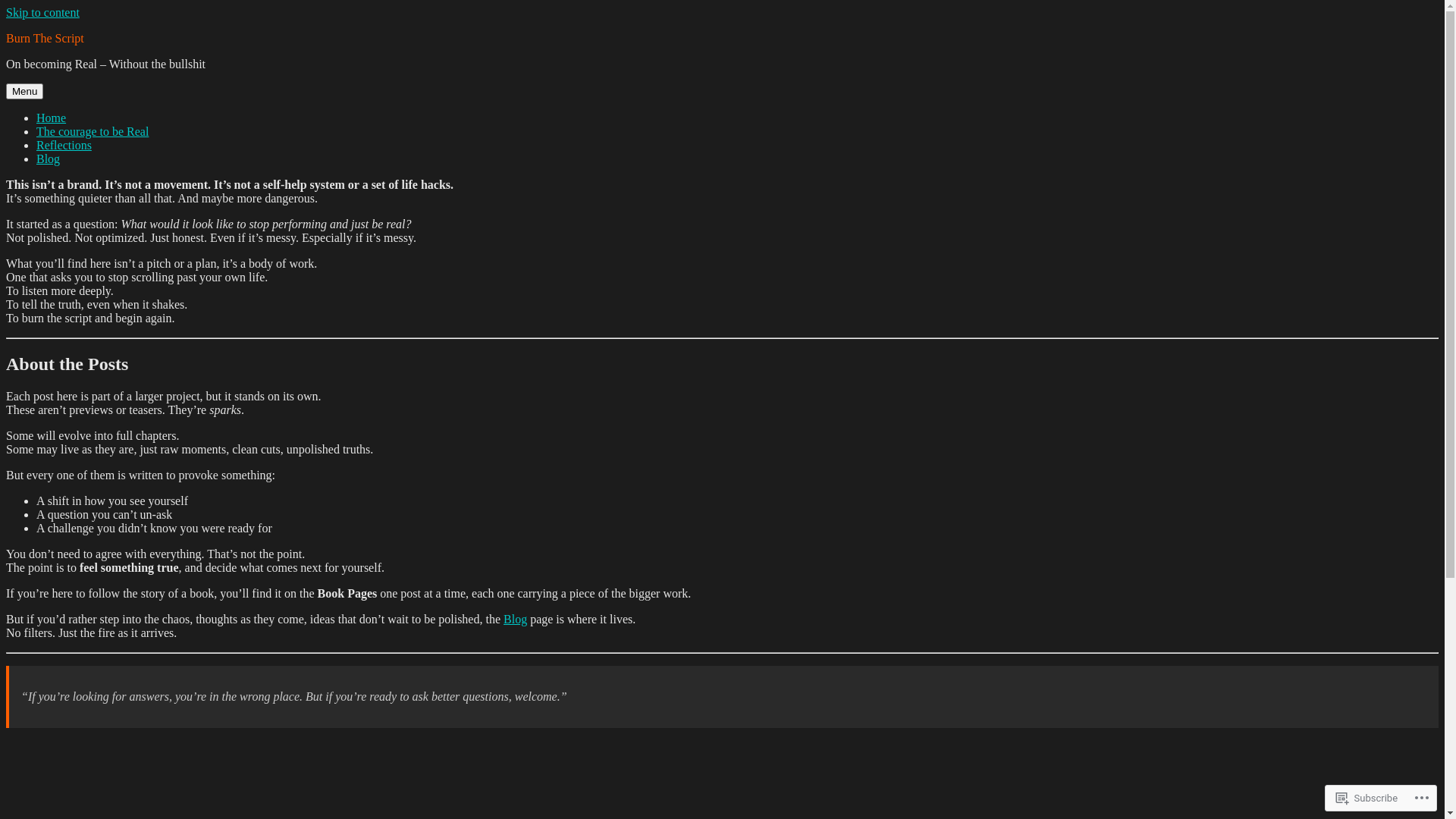 website screenshot of https://burnthescript.blog/