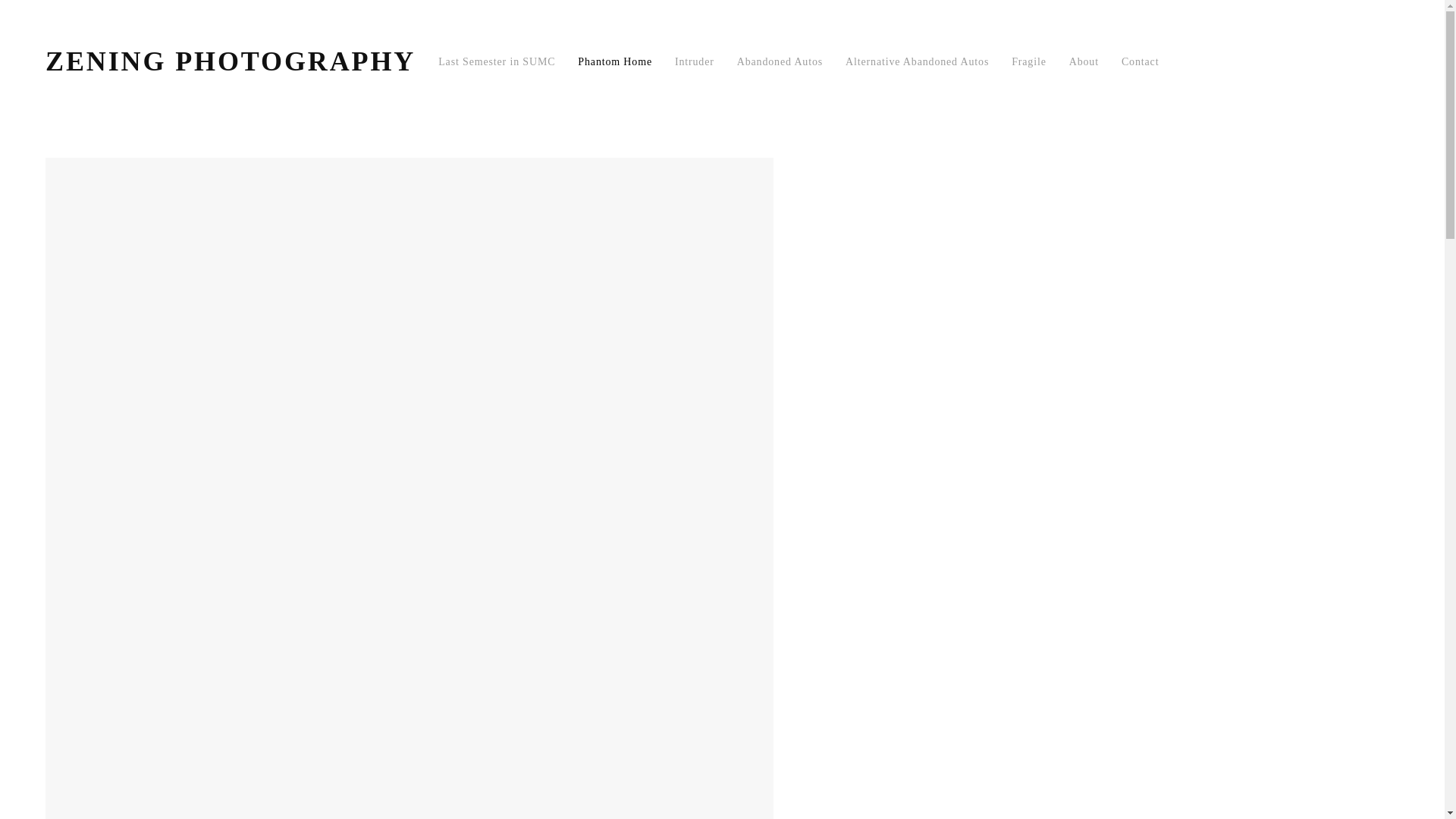 website screenshot of https://zeningwang.com/