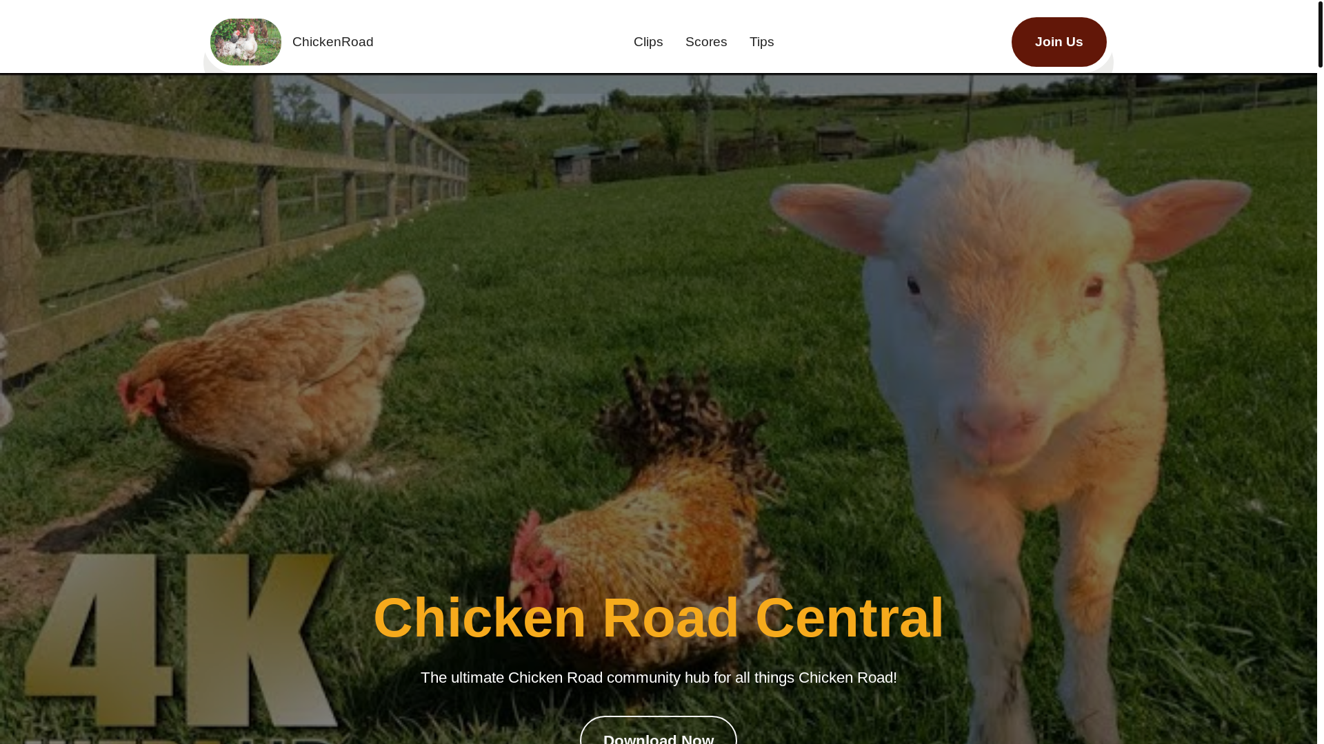 website screenshot of https://chickenroadzilifpd.pro/