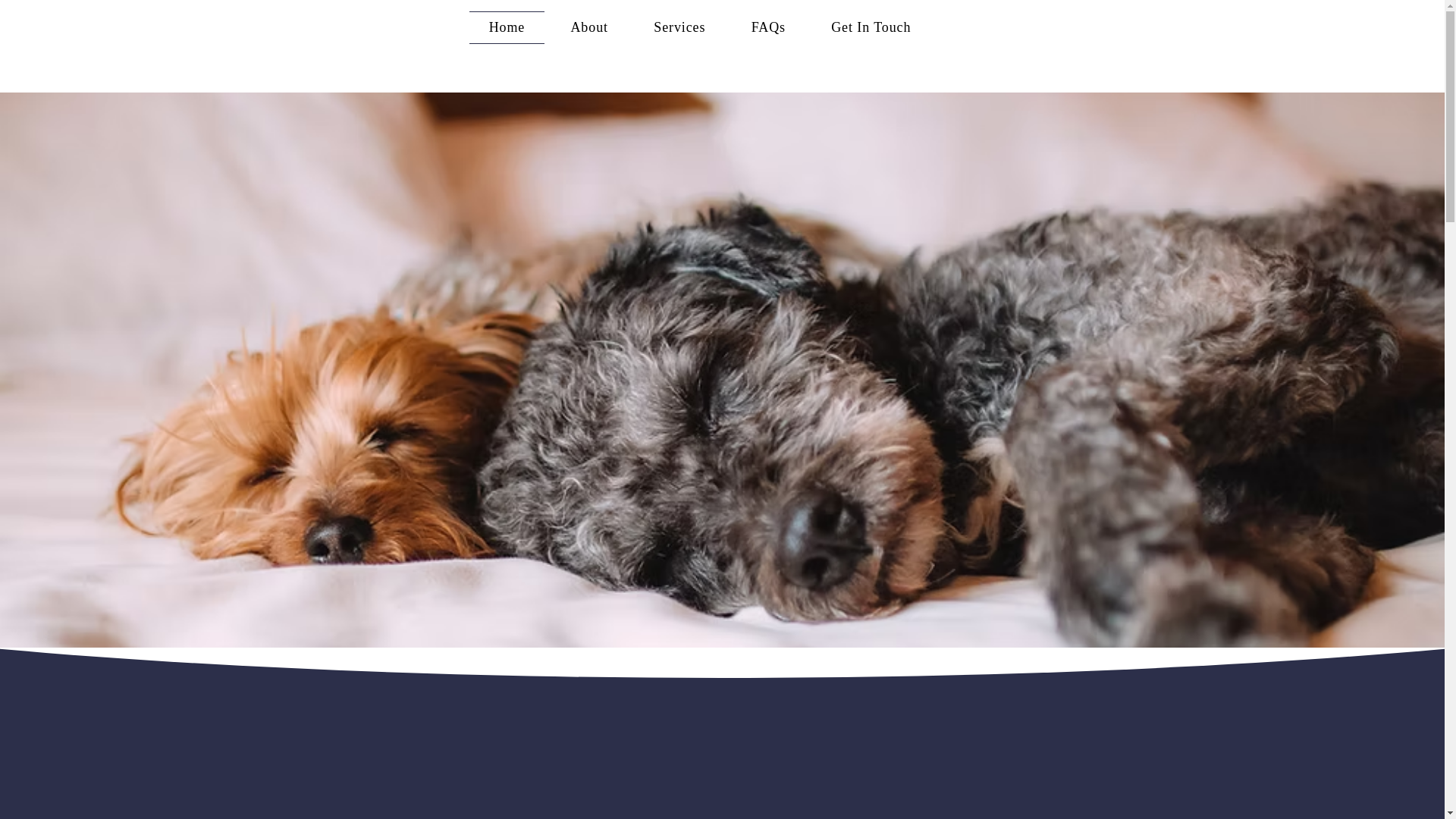 website screenshot of https://petmatchconcierge.com/