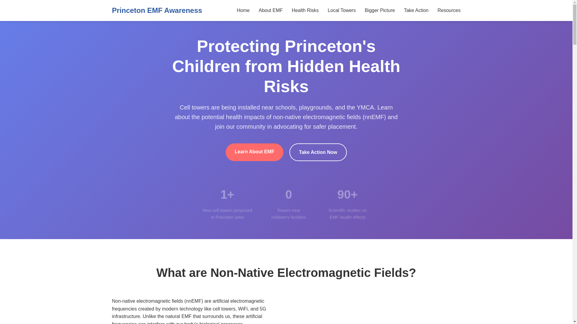 website screenshot of https://princetonemf.org/