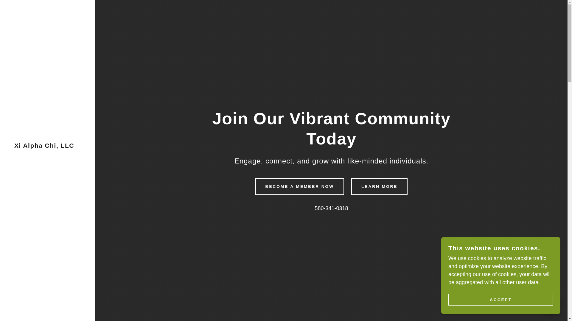 website screenshot of https://xialphachi.com/