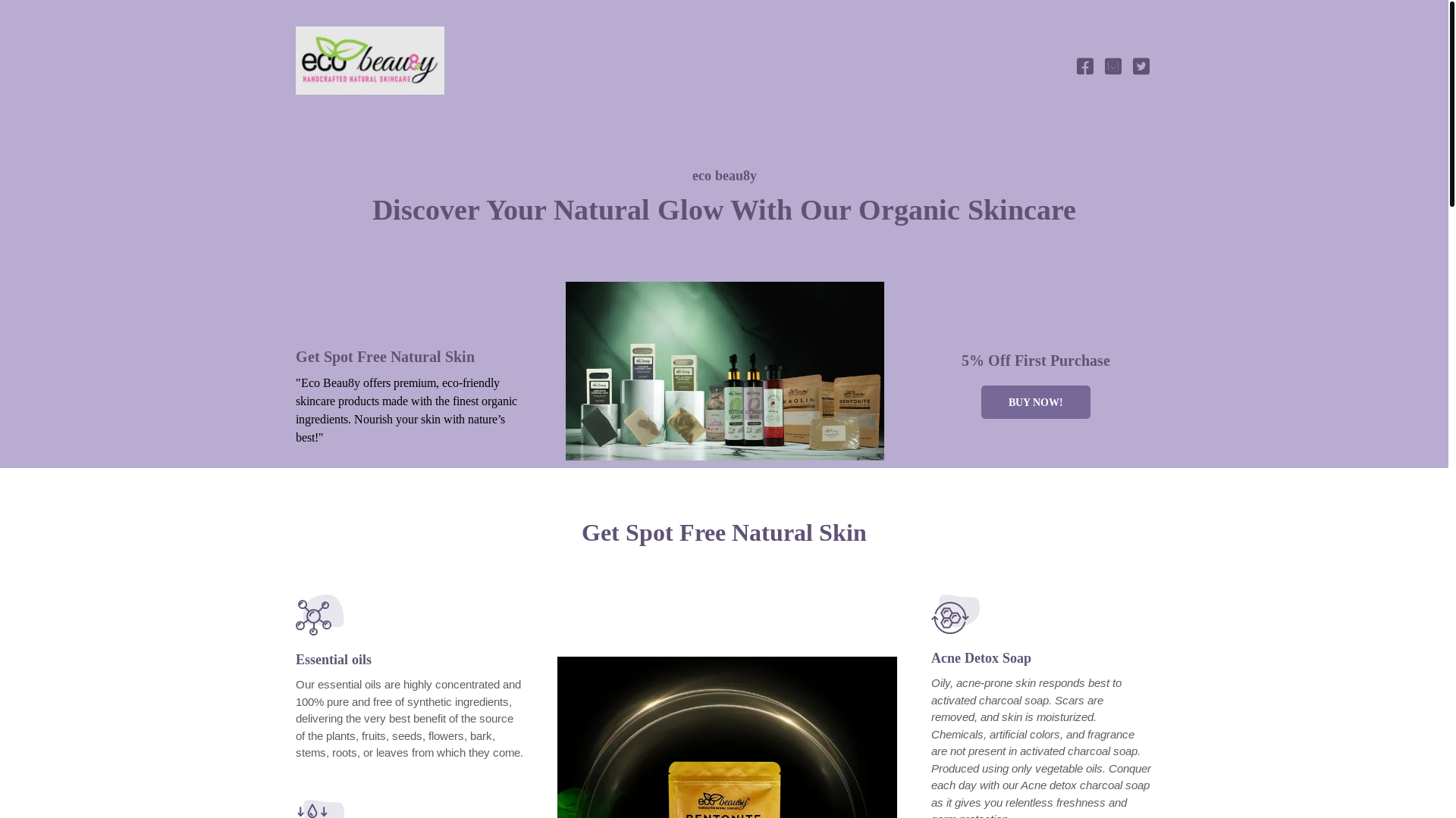 website screenshot of https://lishfaa.com/