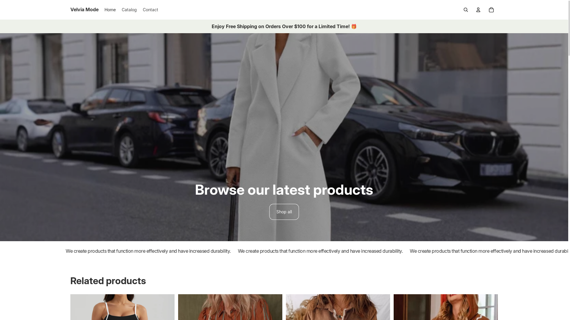 website screenshot of https://velviamode.store/