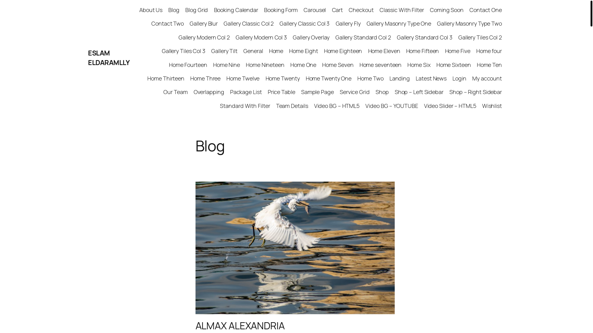 website screenshot of https://eslameldaramly.site/
