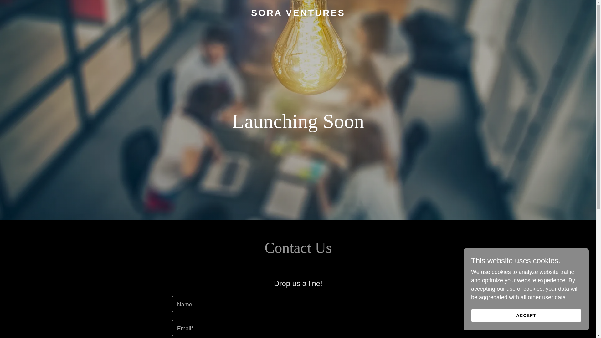 website screenshot of https://soraventures.co/