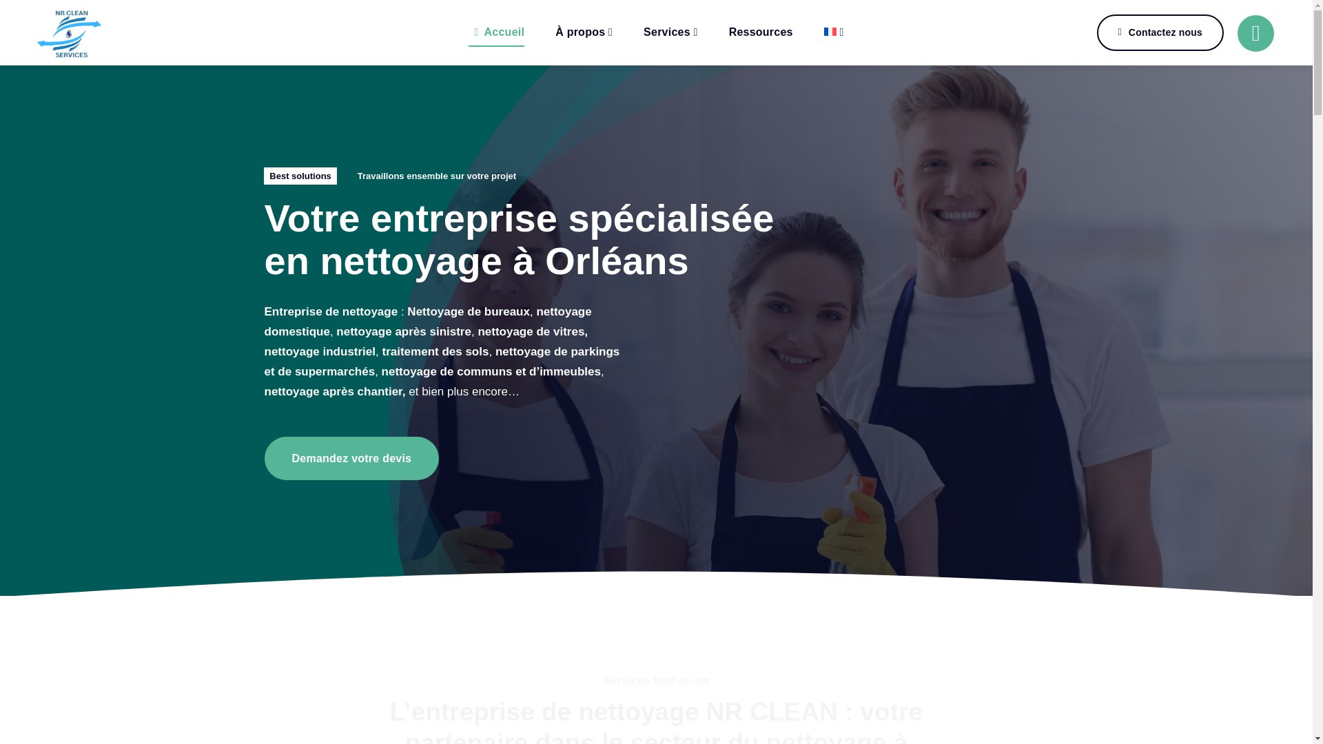 website screenshot of https://nrclean.fr/