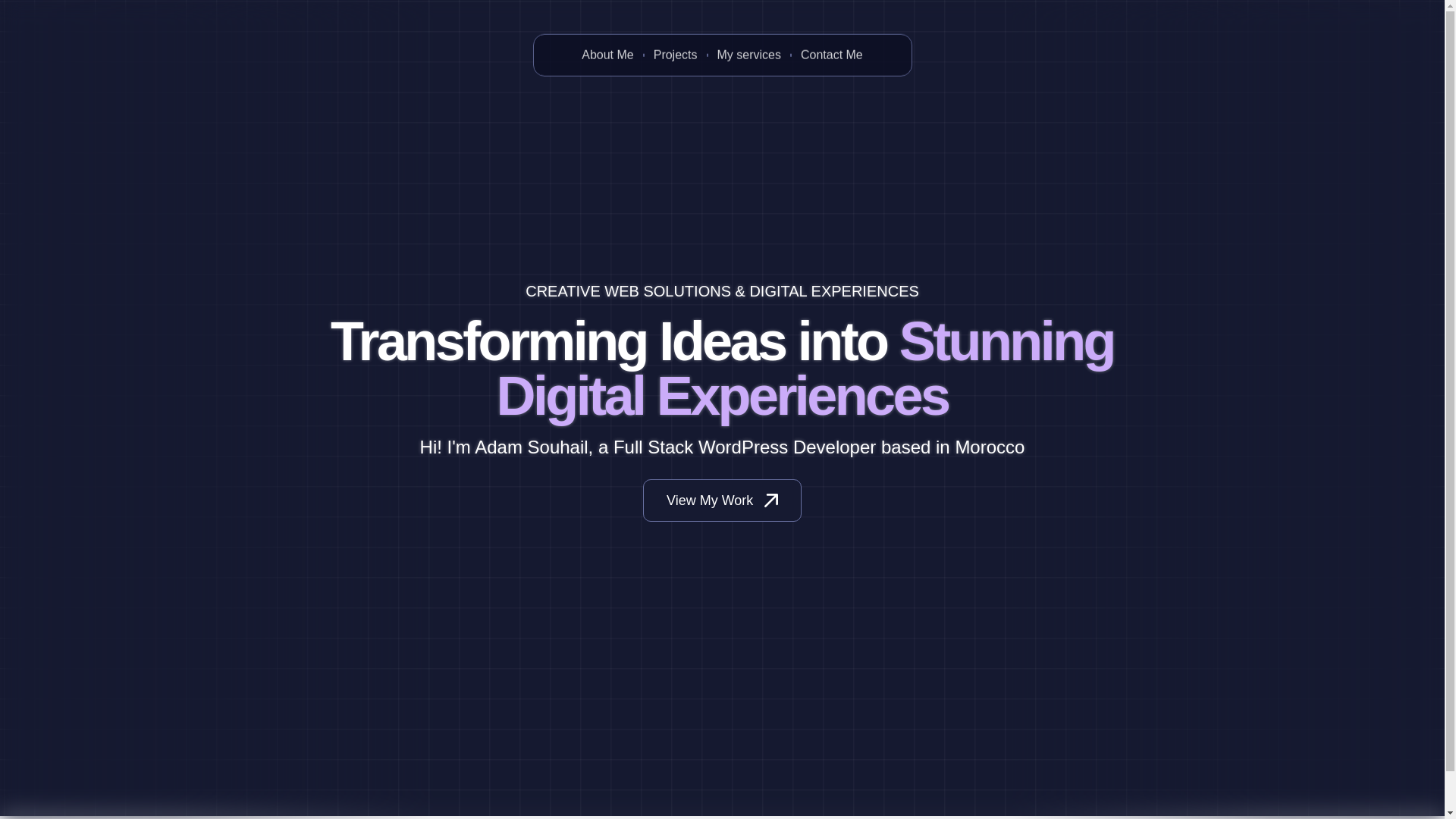 website screenshot of https://adamsouhail.pro/