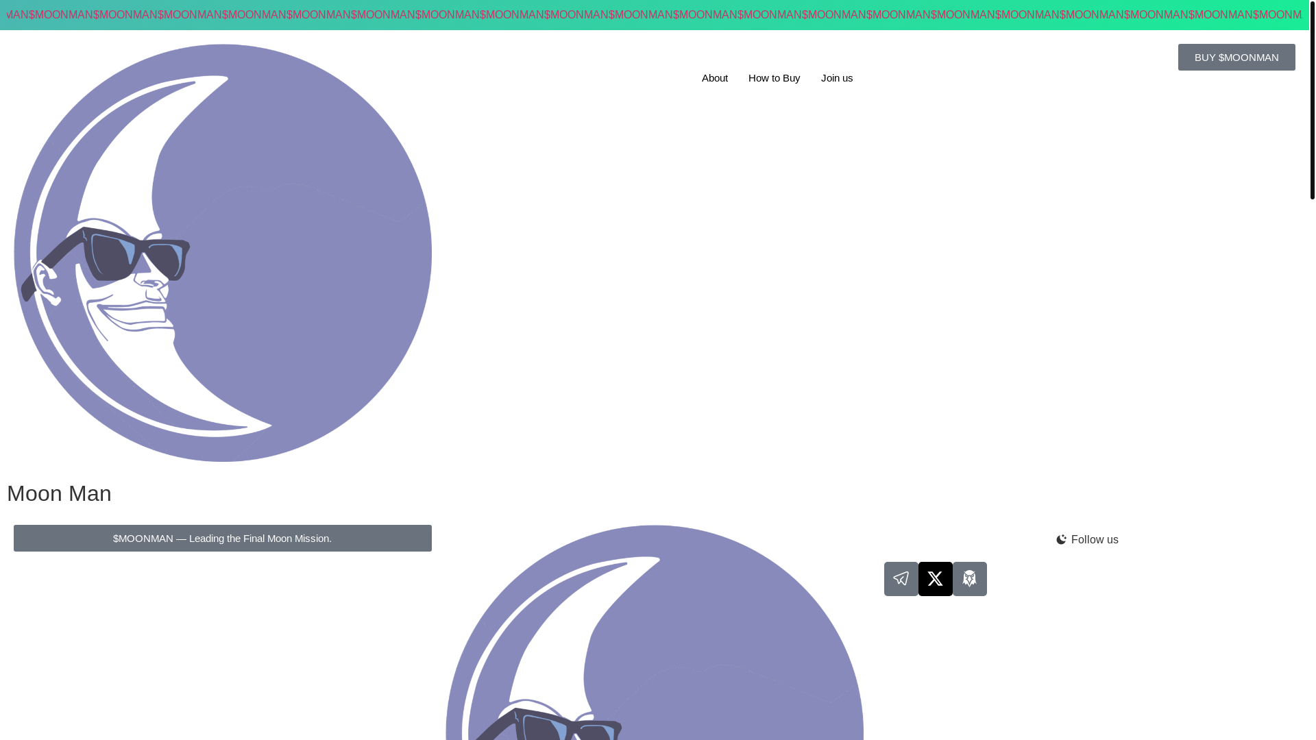website screenshot of https://moonmanmeme.com/