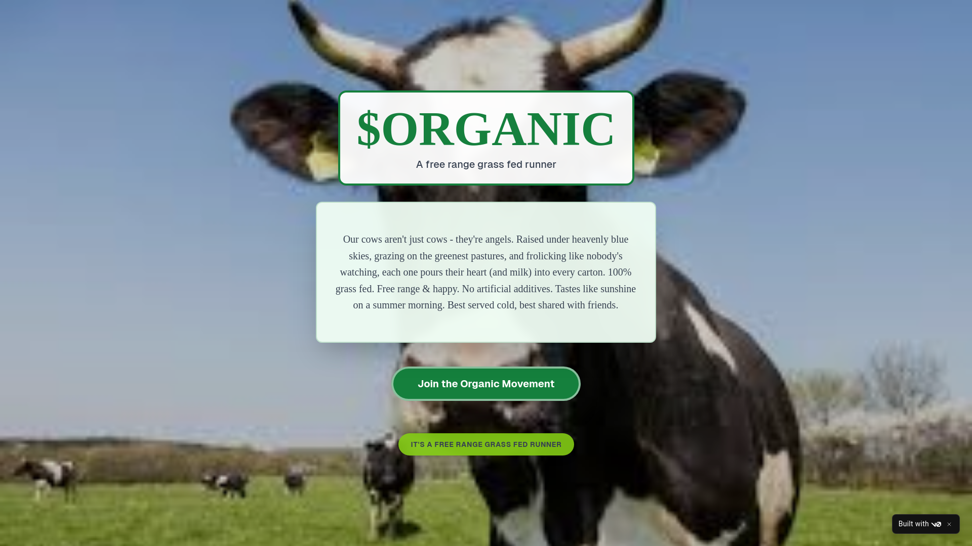 website screenshot of https://grassfedrunner.xyz/