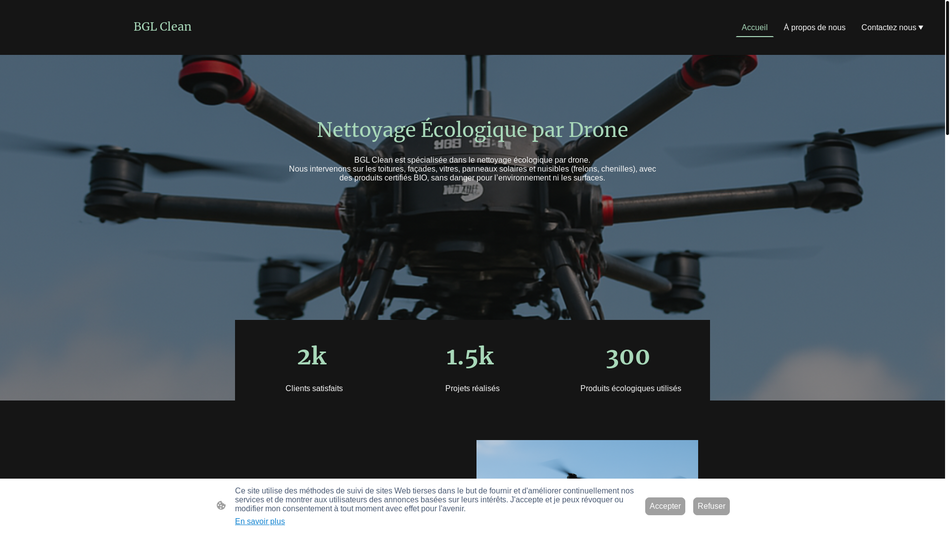 website screenshot of https://bglclean.fr/