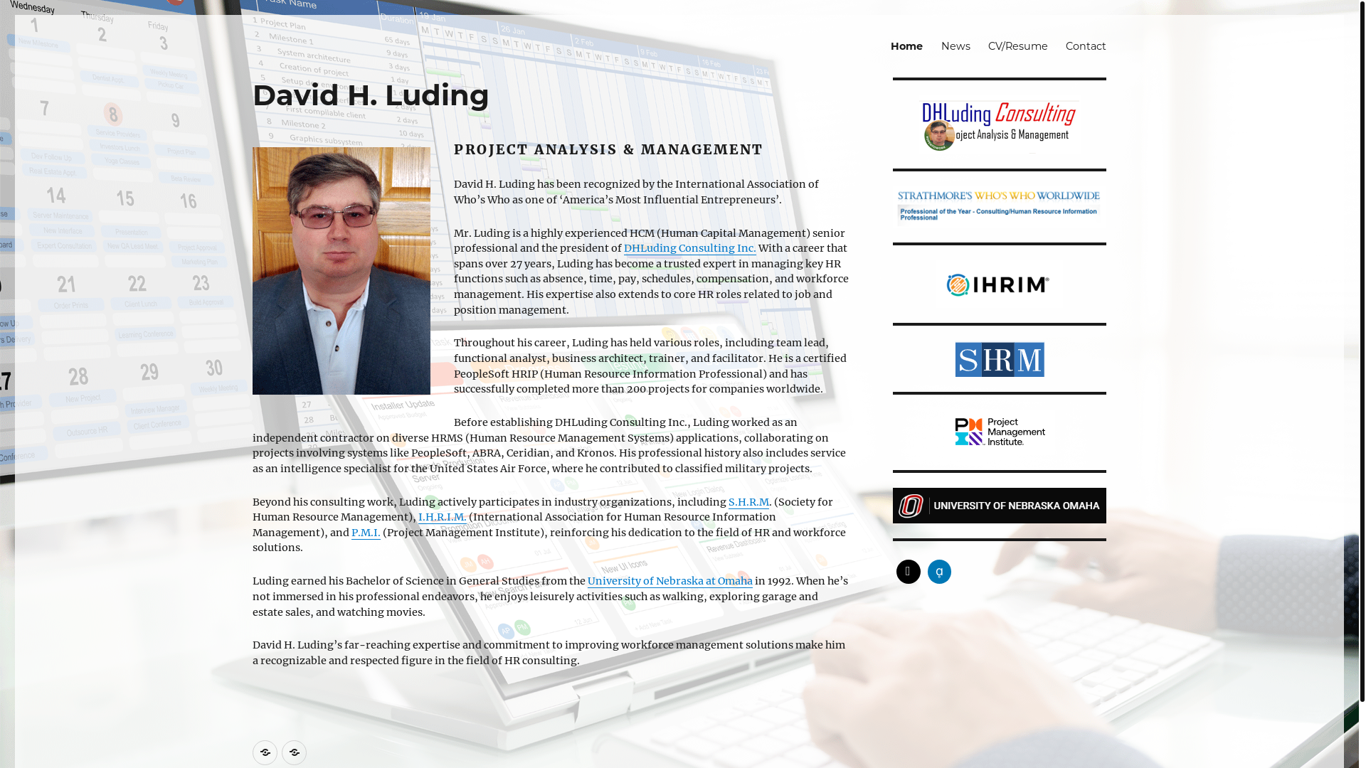 website screenshot of https://dhludingconsulting.com/