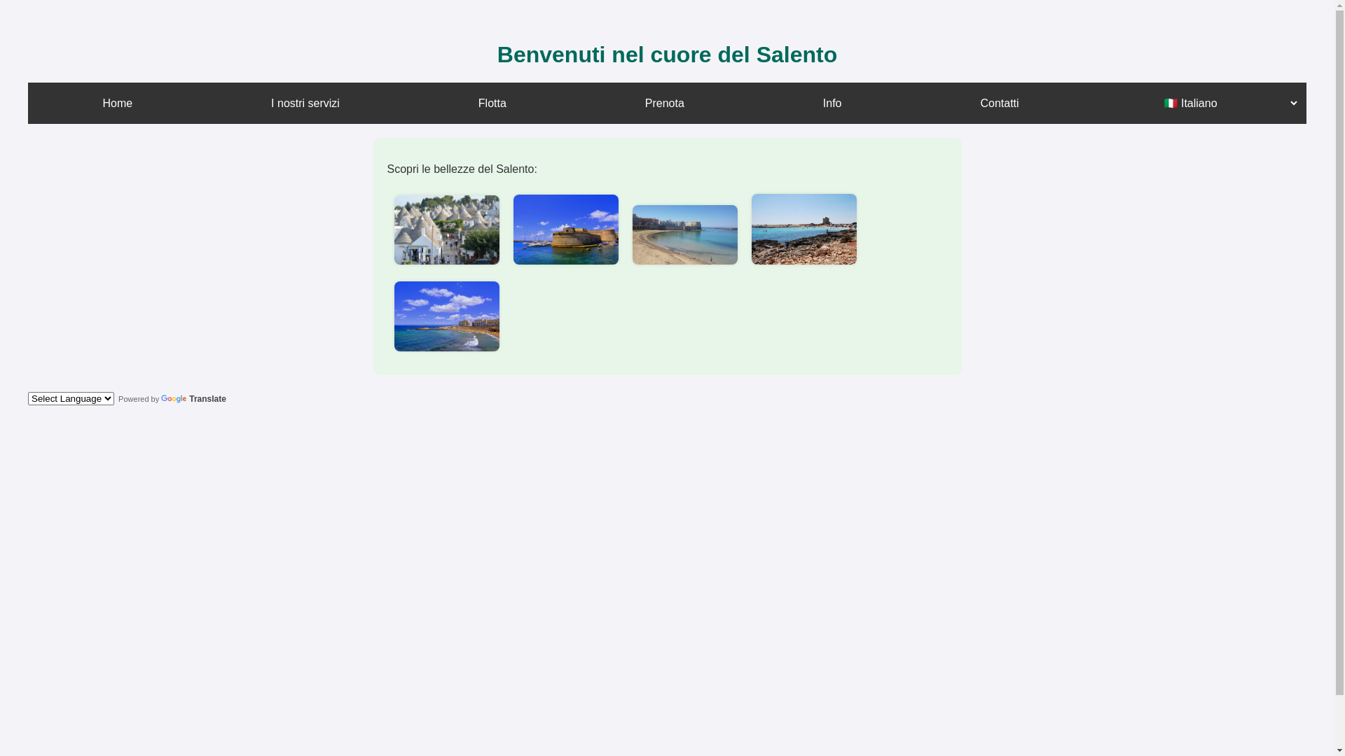 website screenshot of https://noleggisalentoglobalservice.com/
