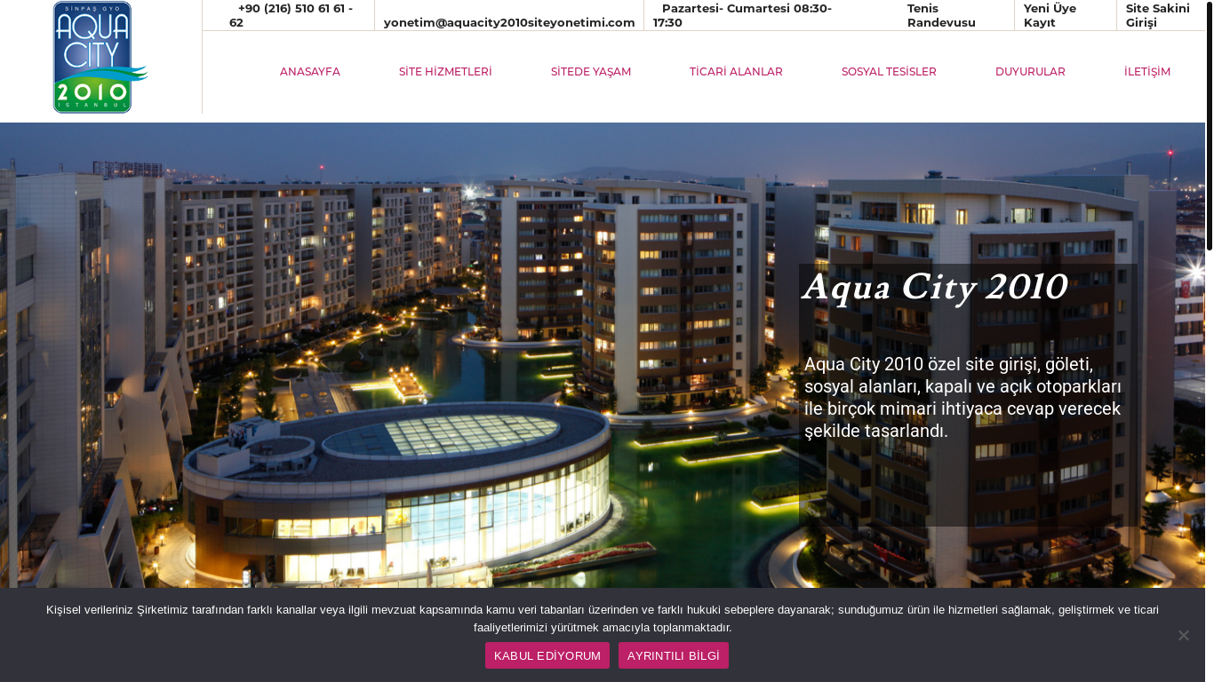 website screenshot of https://aquacity2010.org/