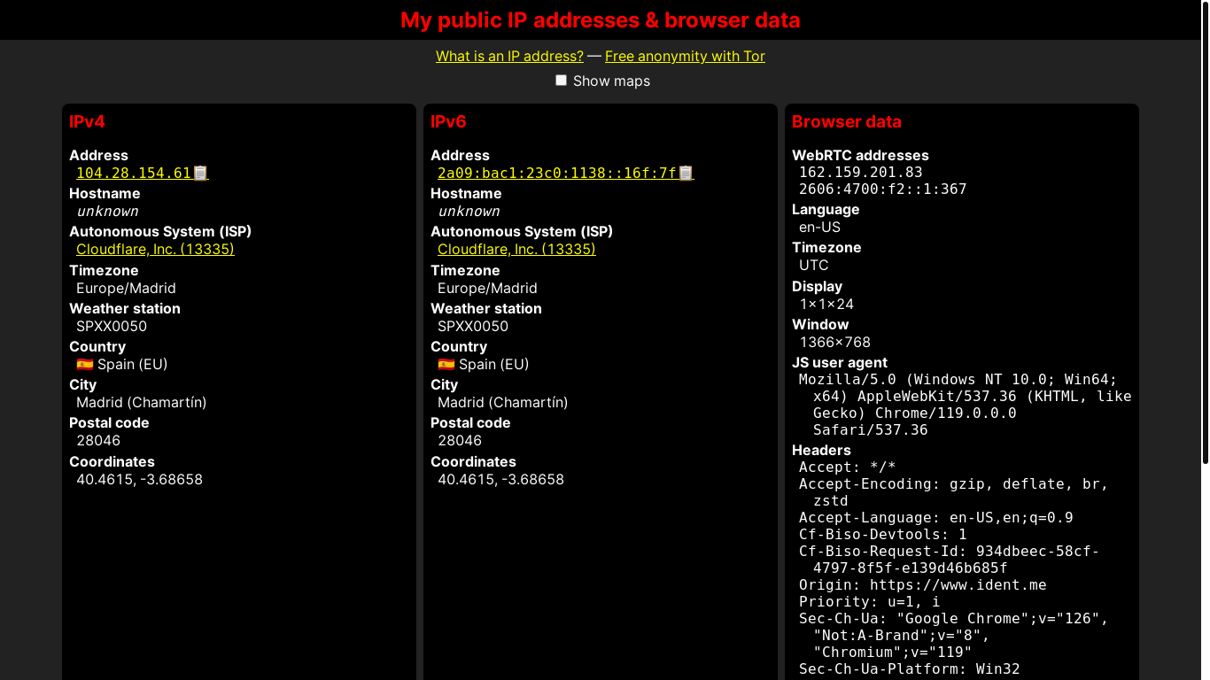 website screenshot of https://ident.me