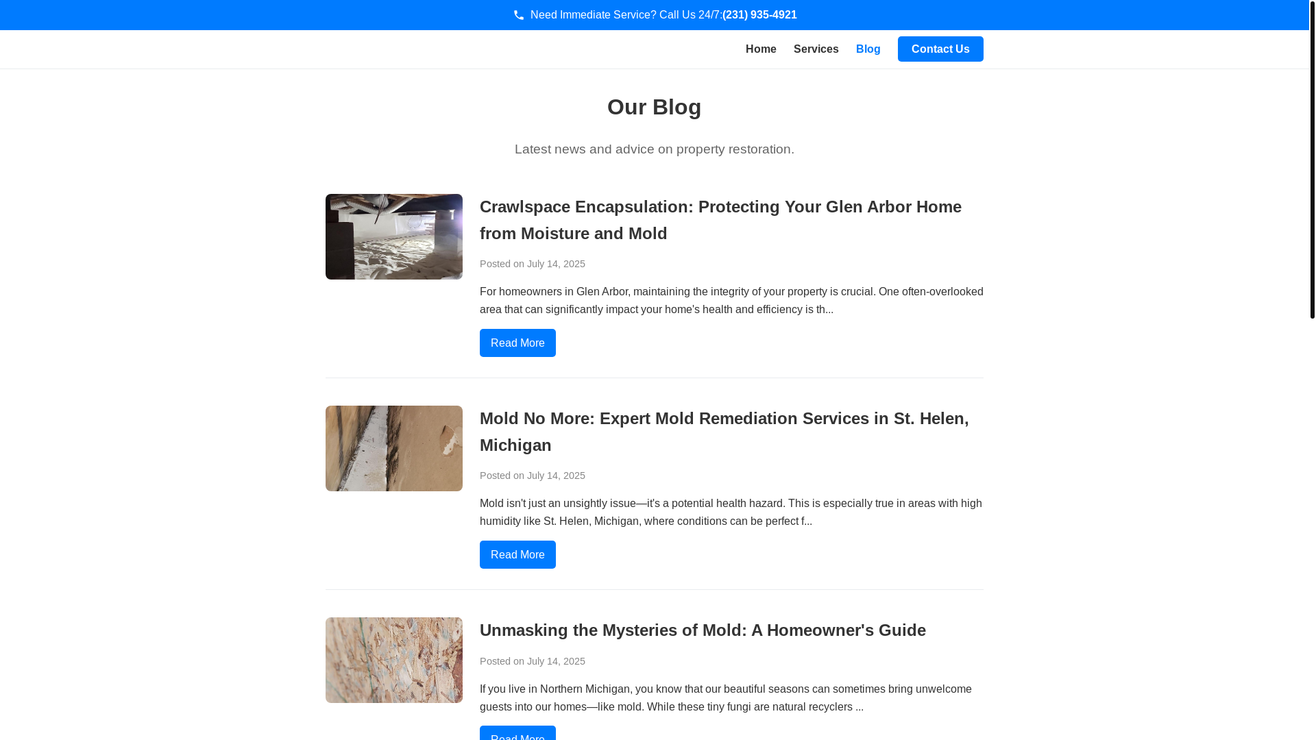 website screenshot of https://floodmanblog.com/