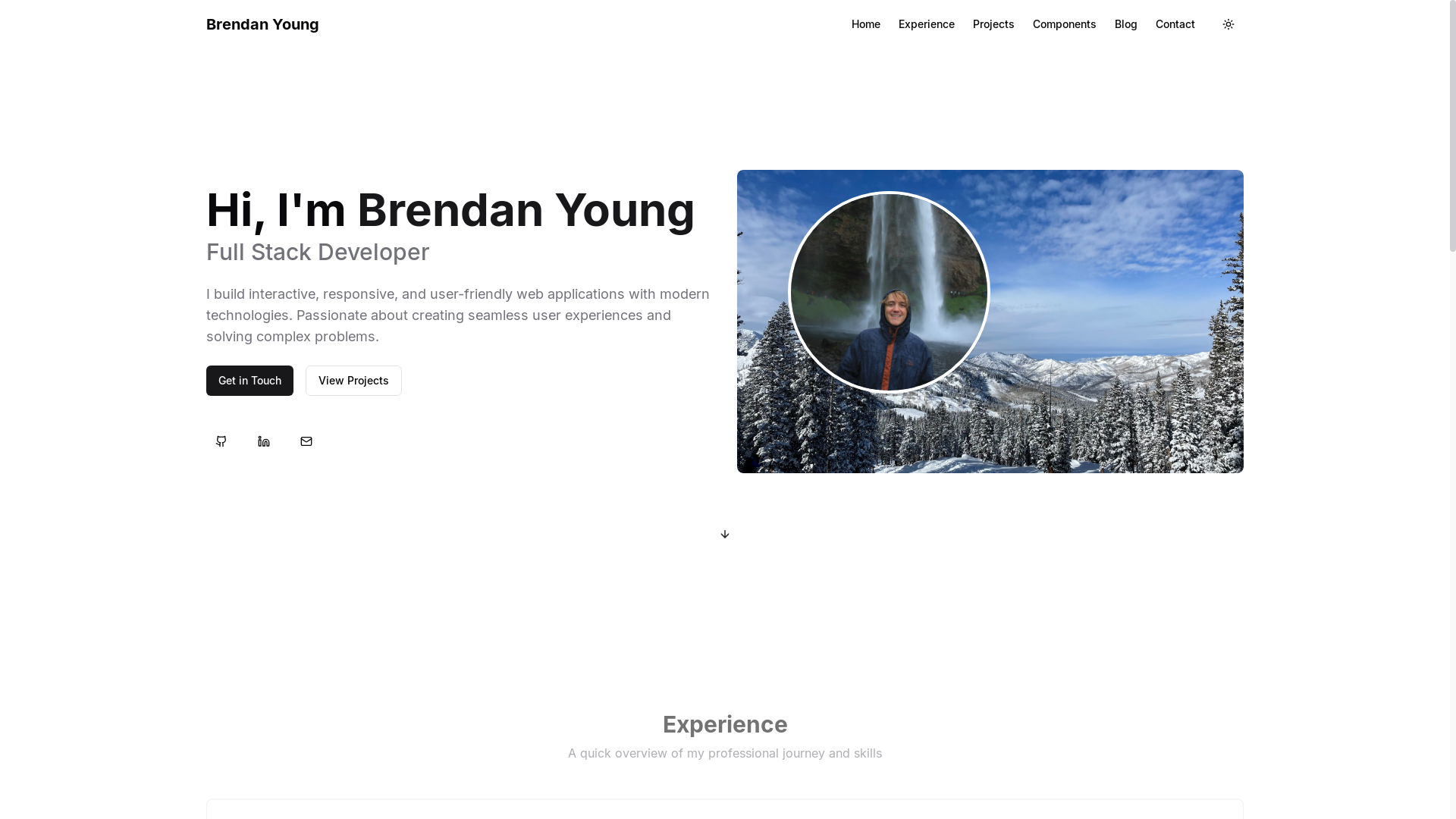 website screenshot of https://brendanyoung.me/