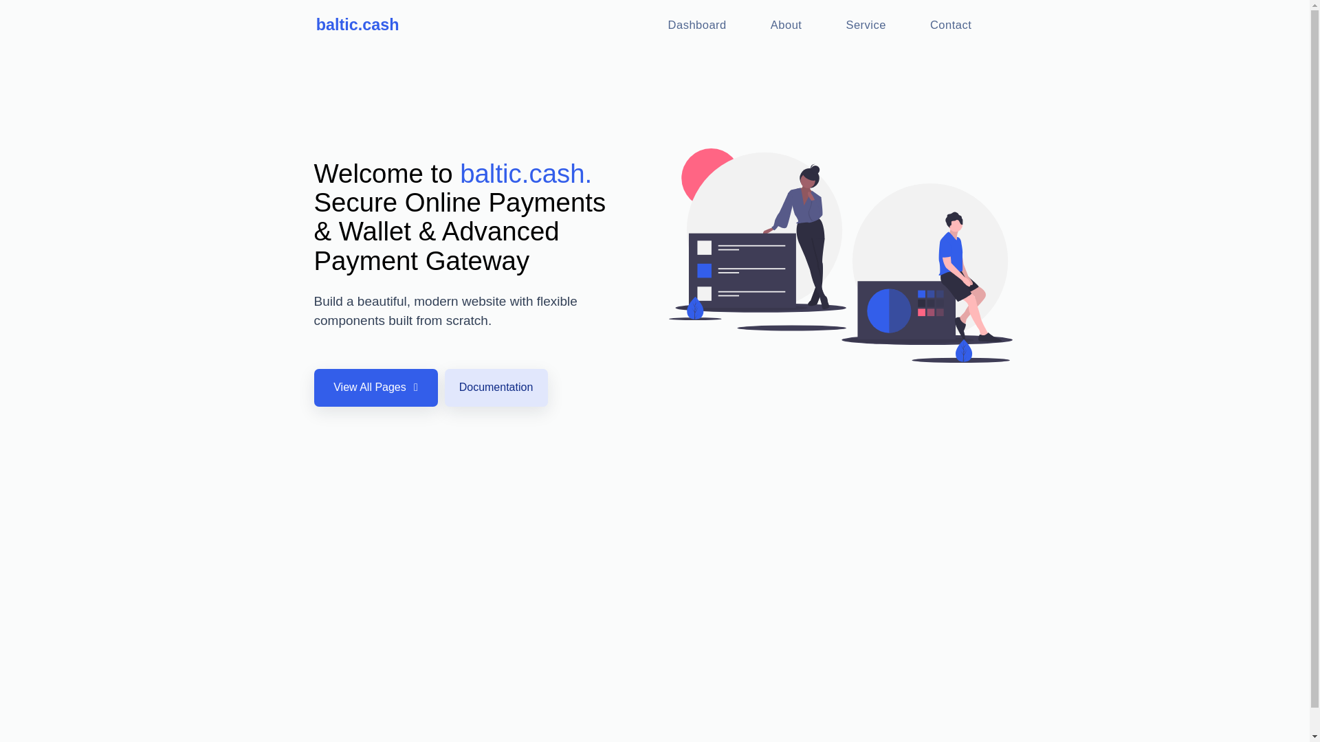 website screenshot of https://baltic.cash/