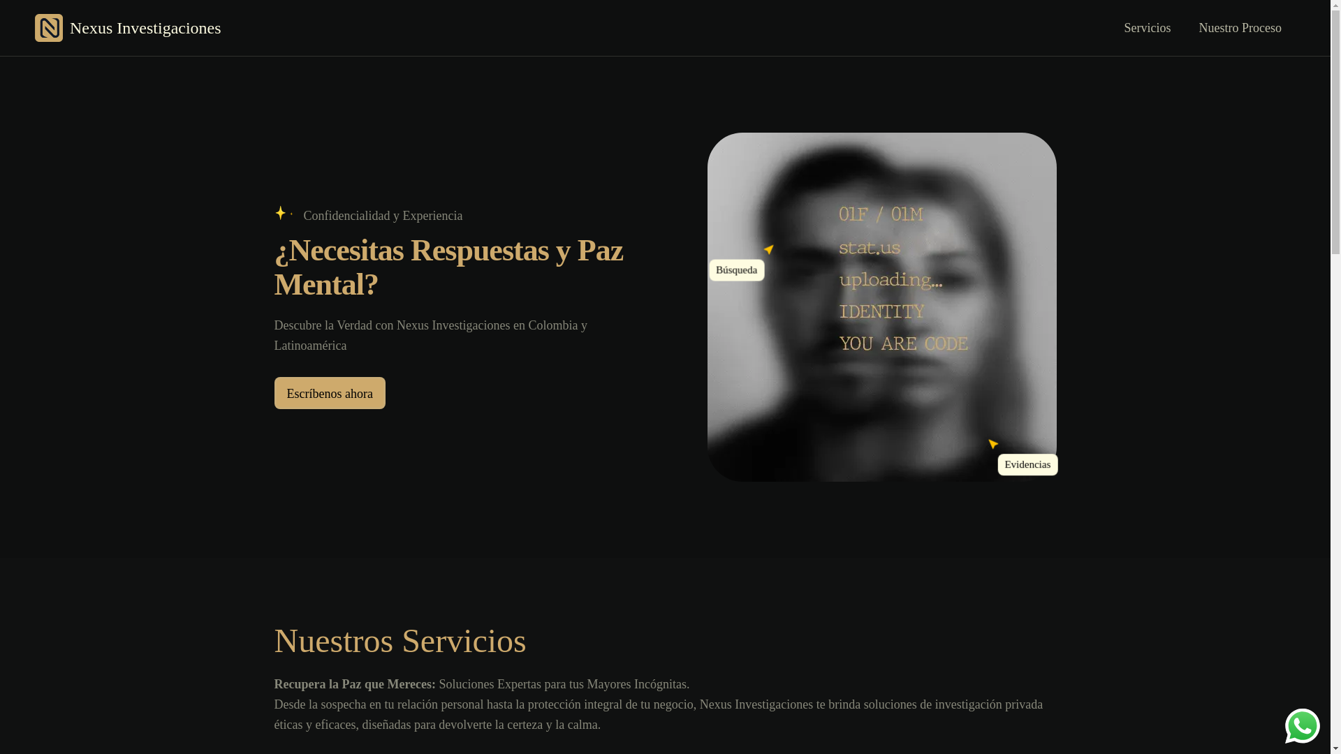 website screenshot of https://nexusinvestigaciones.com/
