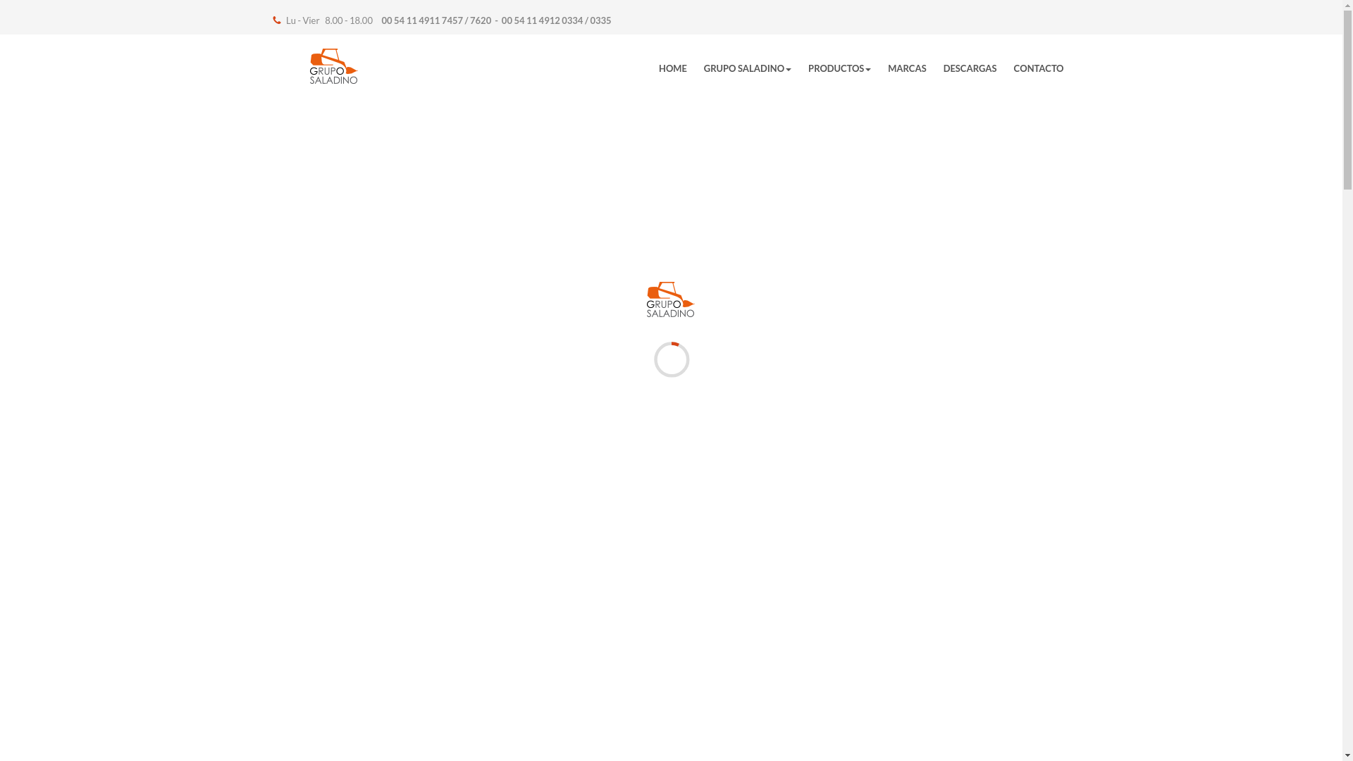 website screenshot of https://gruposaladino.pages.dev/