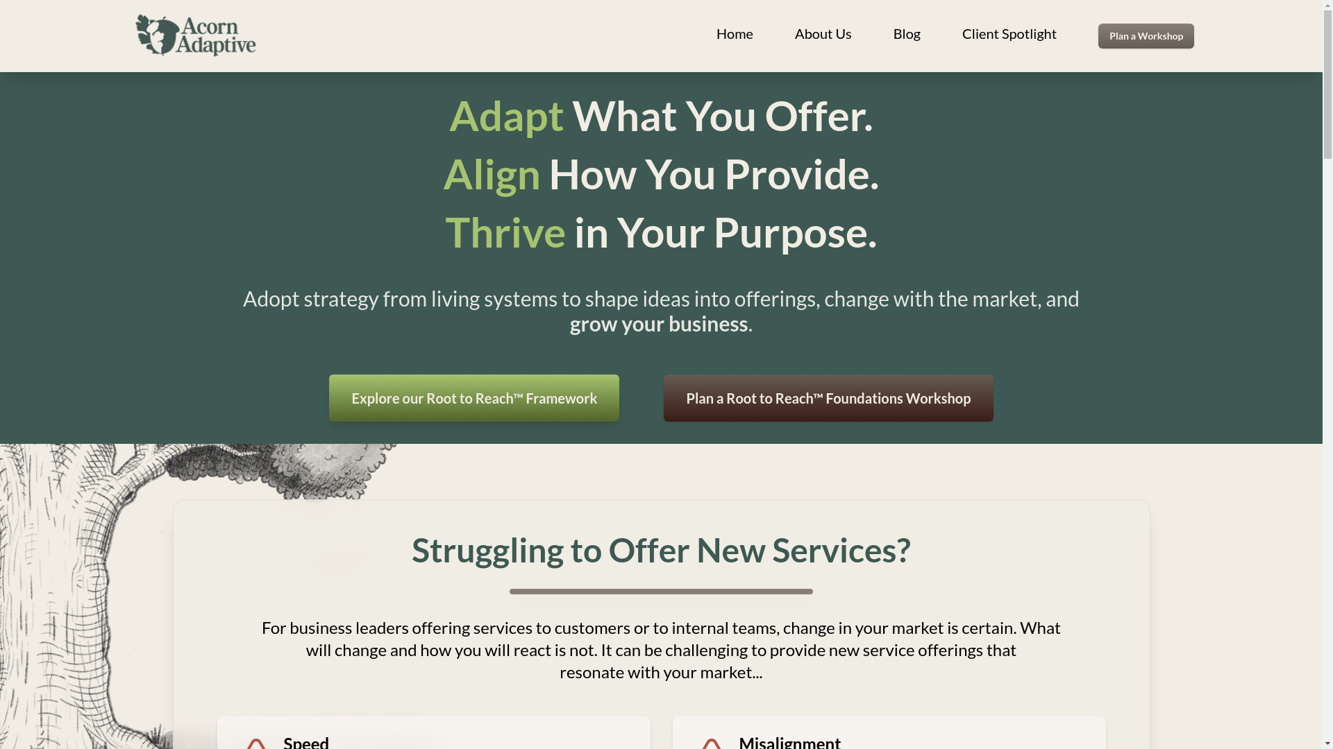 website screenshot of https://acorn-adaptive-website.pages.dev/