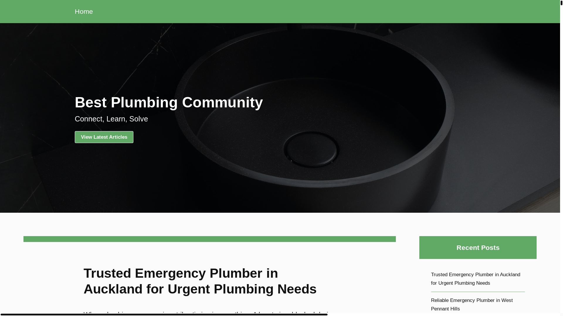website screenshot of https://best-plumbing-community.pages.dev/