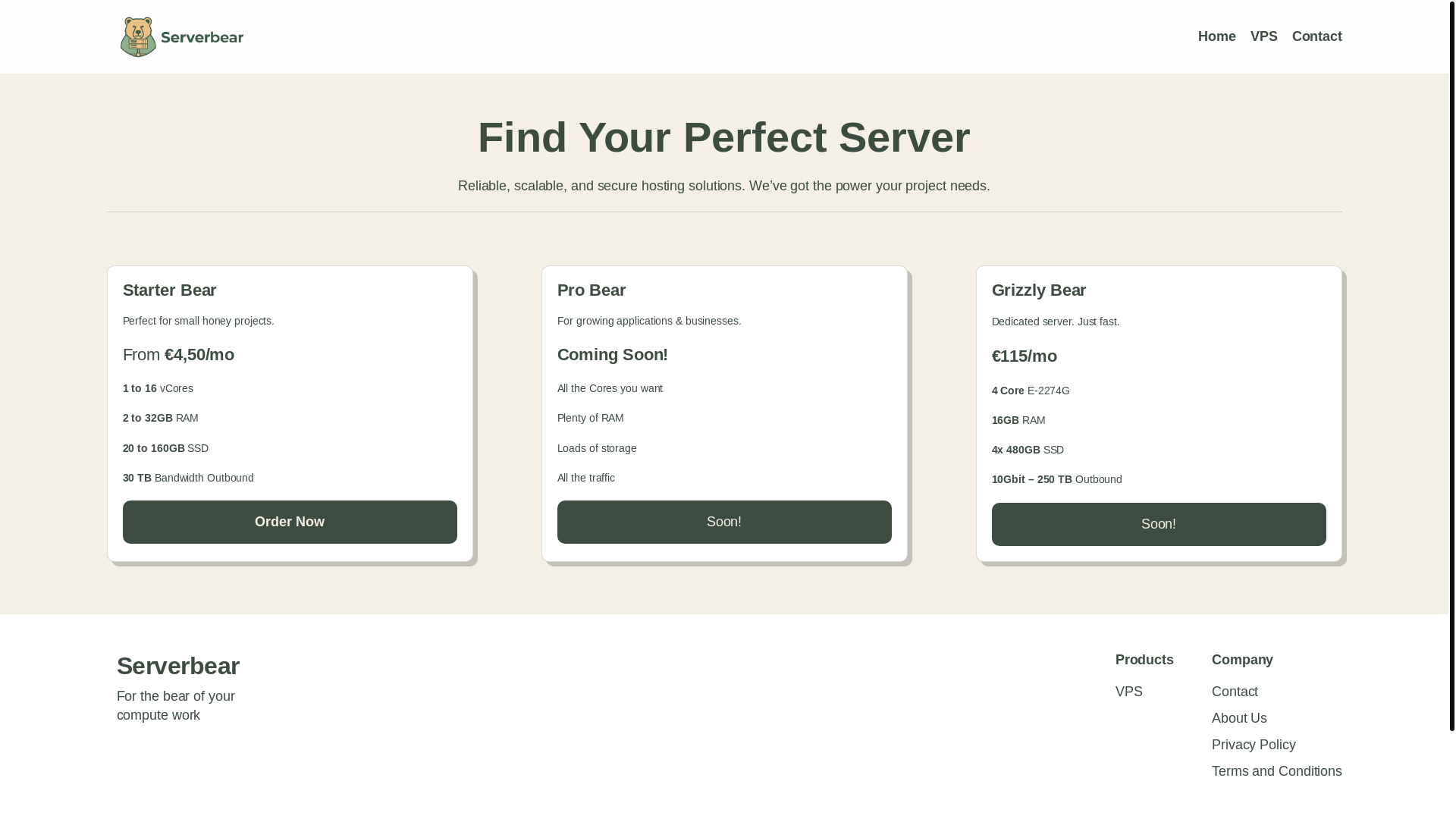 website screenshot of https://serverbear.nl/